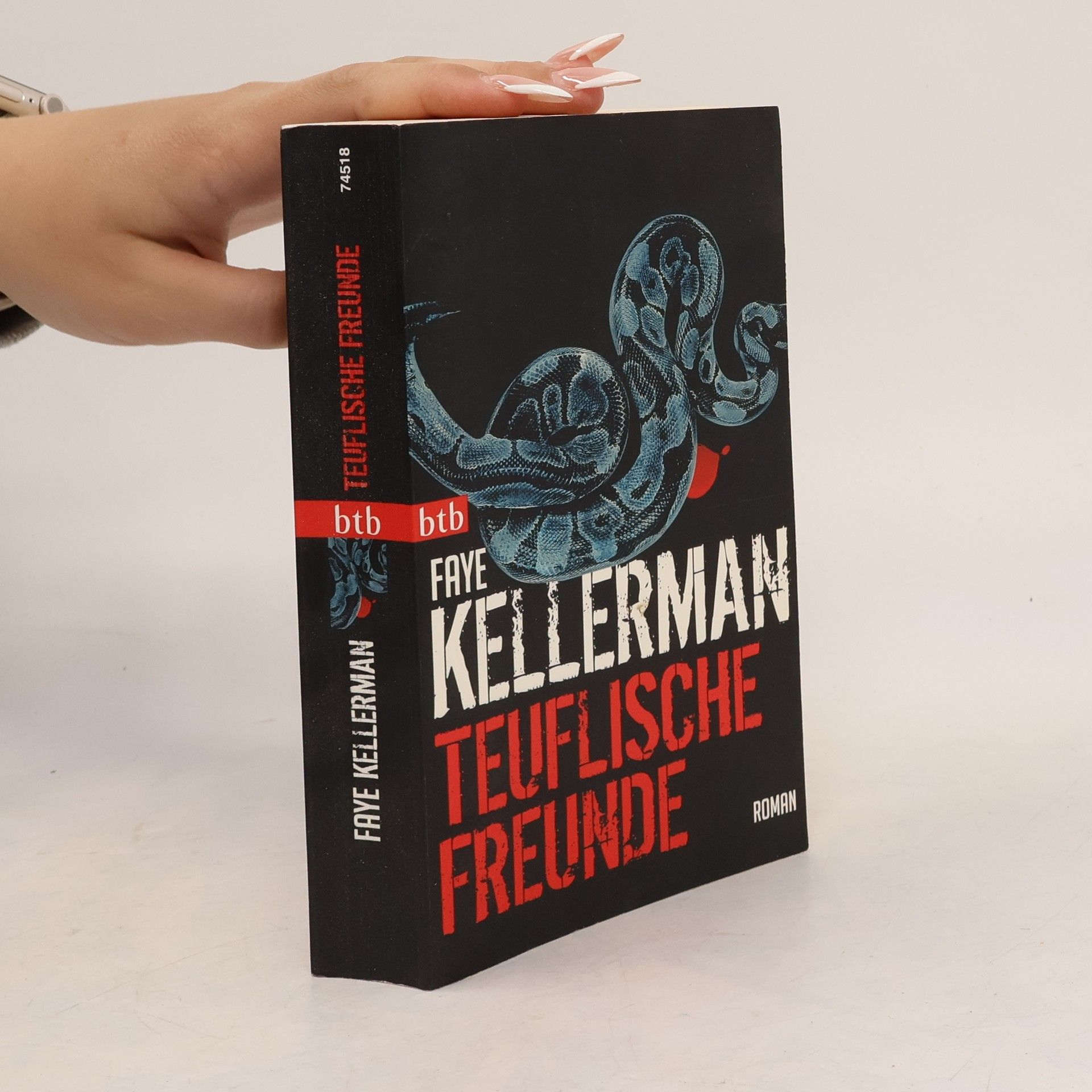 Faye Kellerman Teuflische Freunde