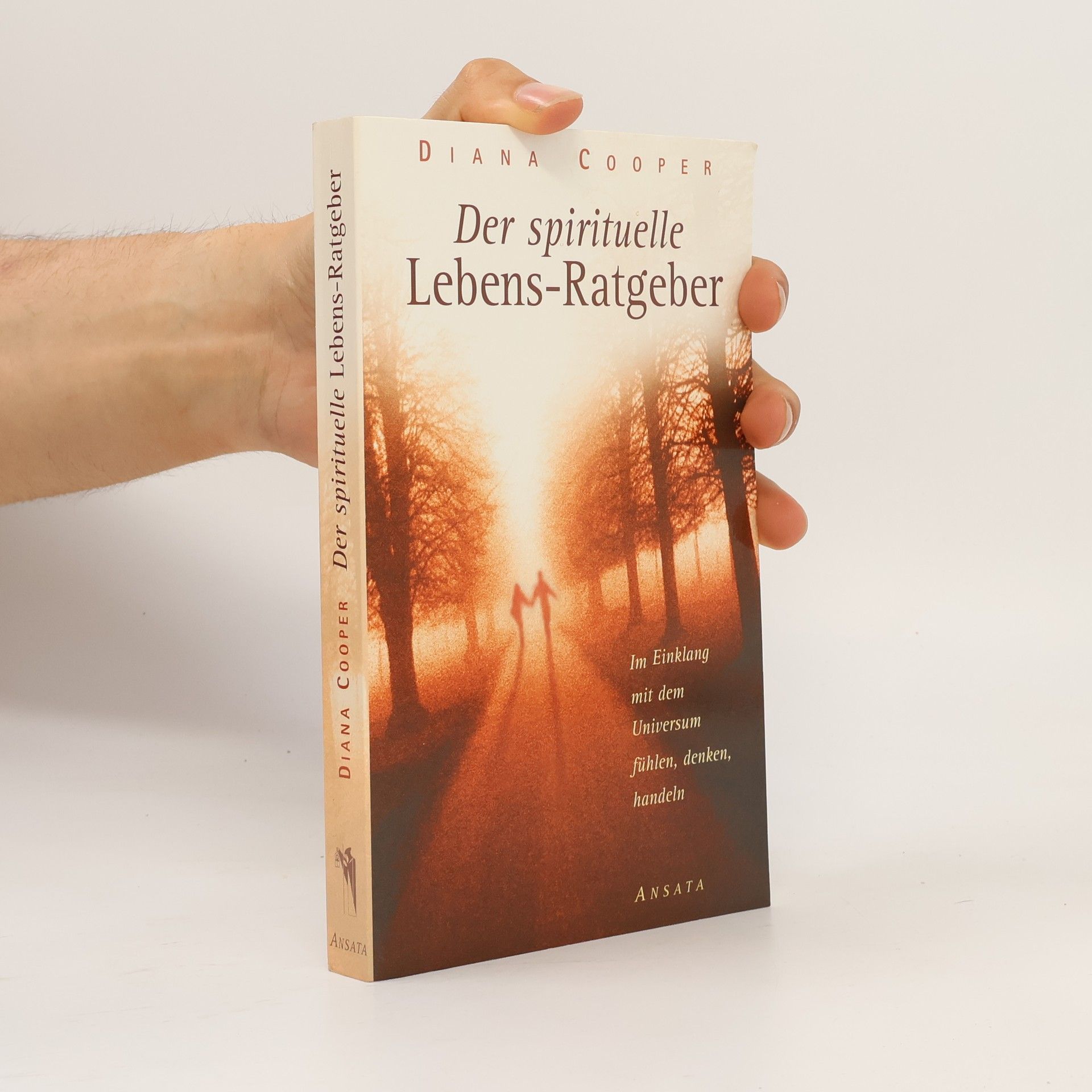 Diana Cooper Der spirituelle Lebens-Ratgeber