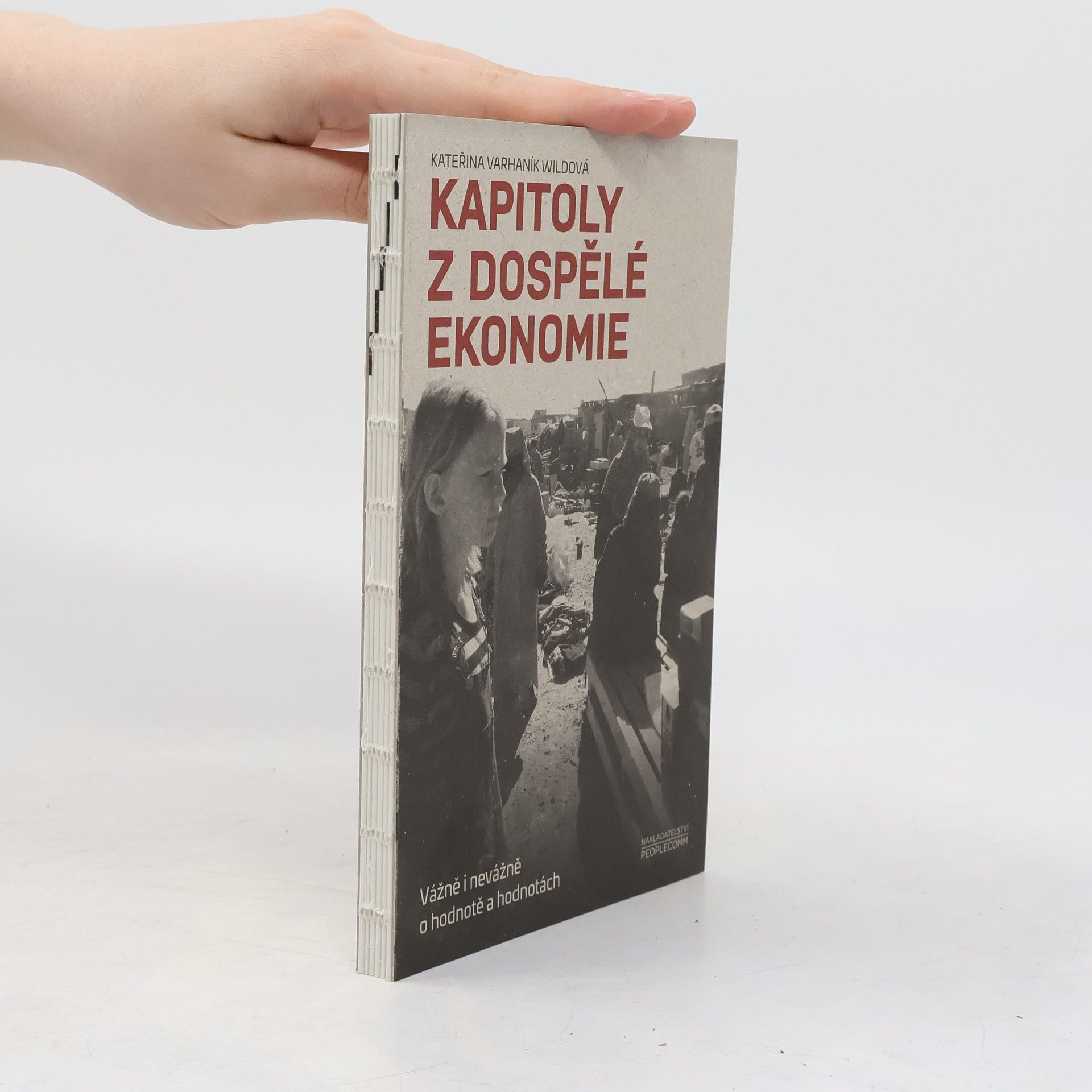 Kateřina Varhaník Wildová Kapitoly z dospělé ekonomie : vážně i nevážně o hodnotě a hodnotách