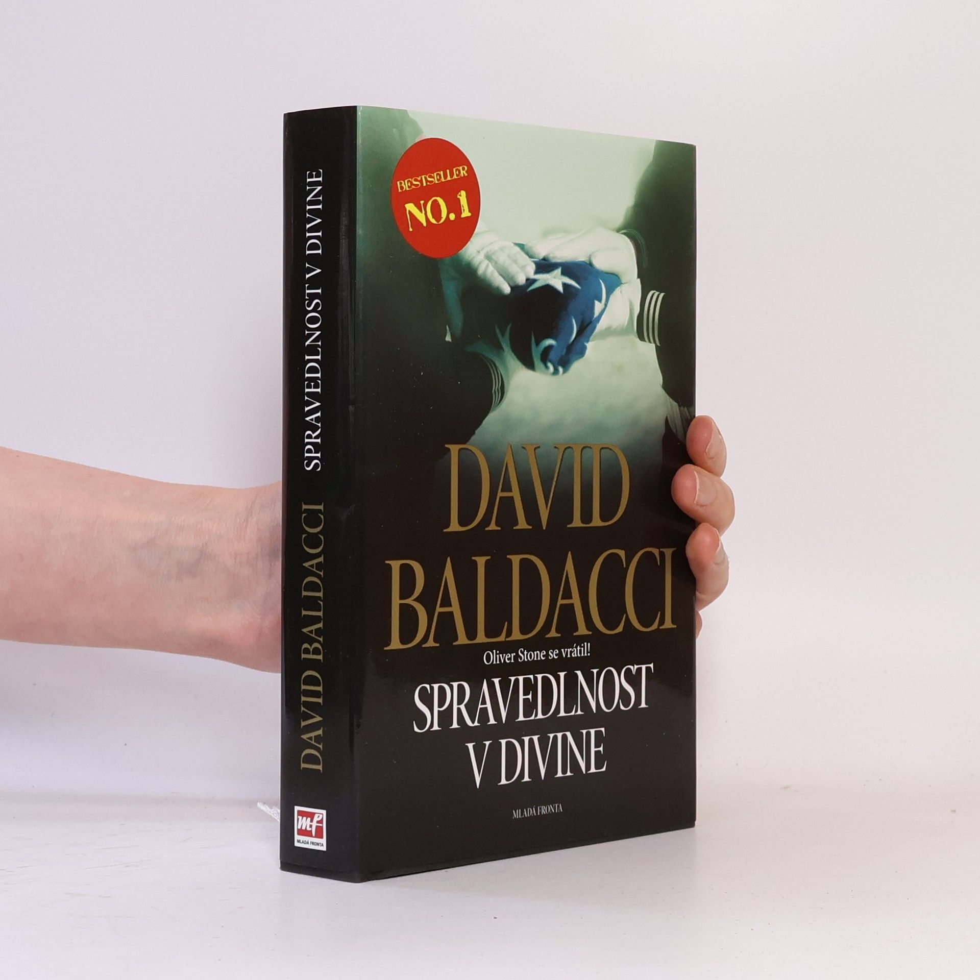David Baldacci Spravedlnost v Divine