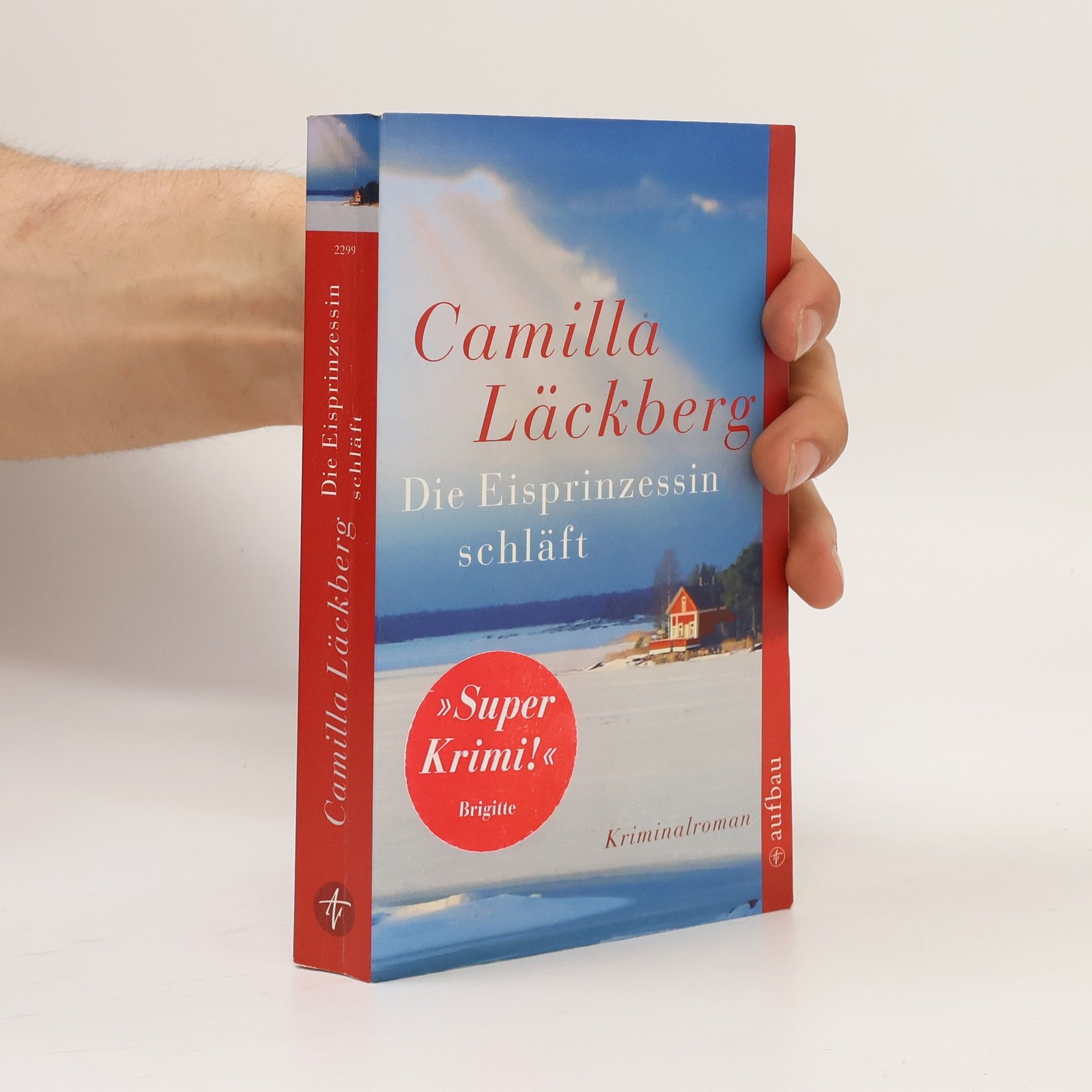 Camilla Läckberg Die Eisprinzessin schläft