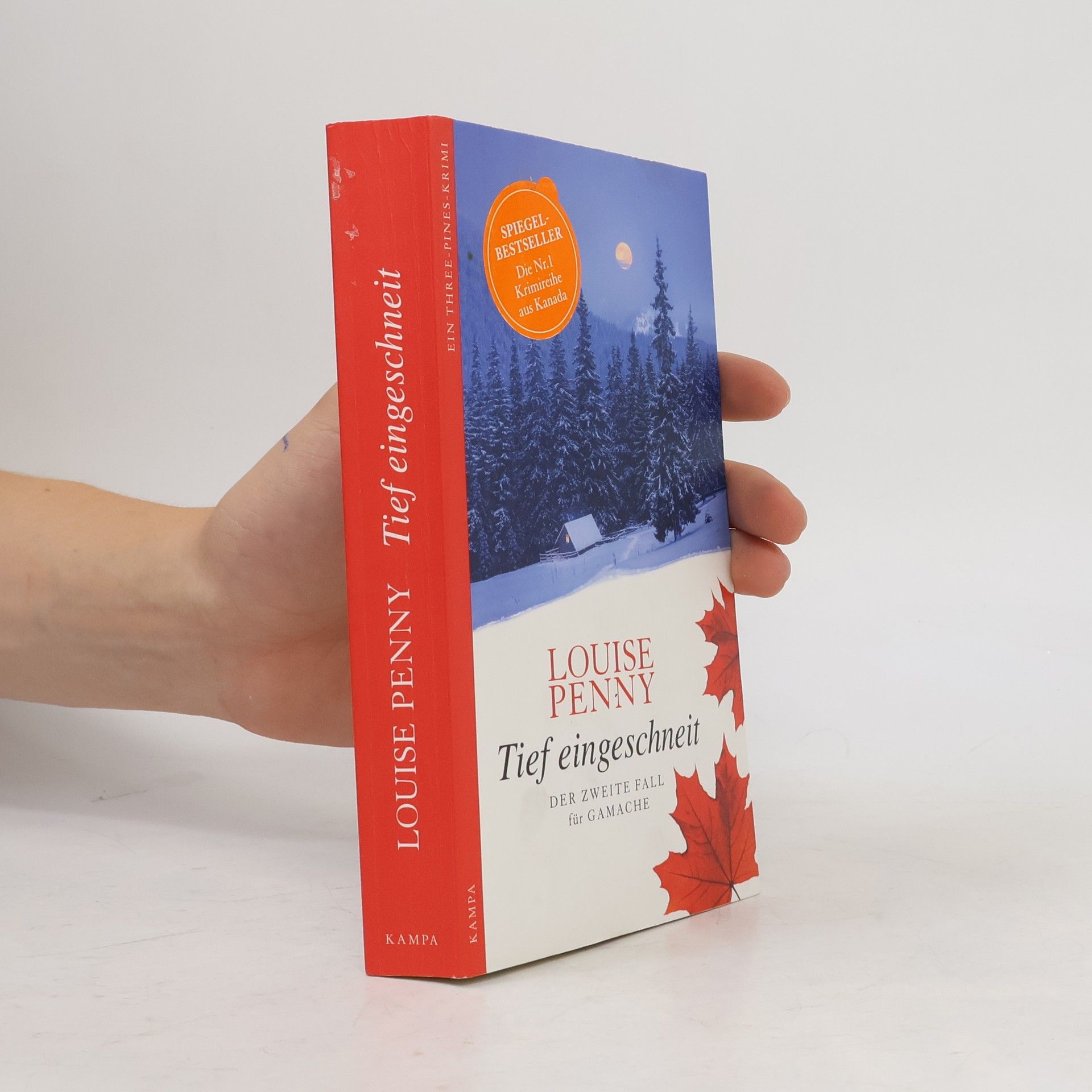 Louise Penny Tief eingeschneit
