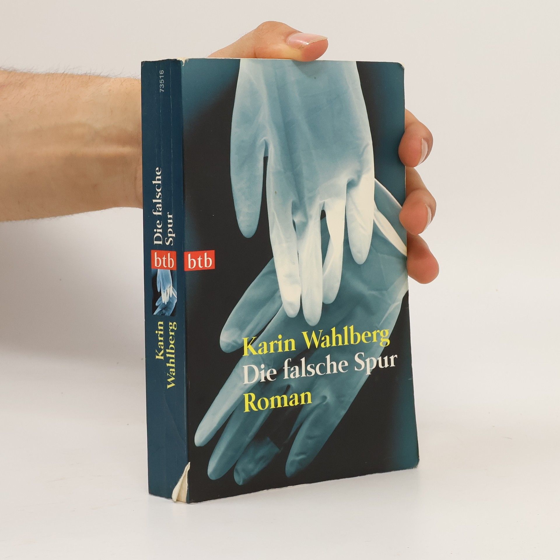 Karin Wahlberg Die falsche Spur