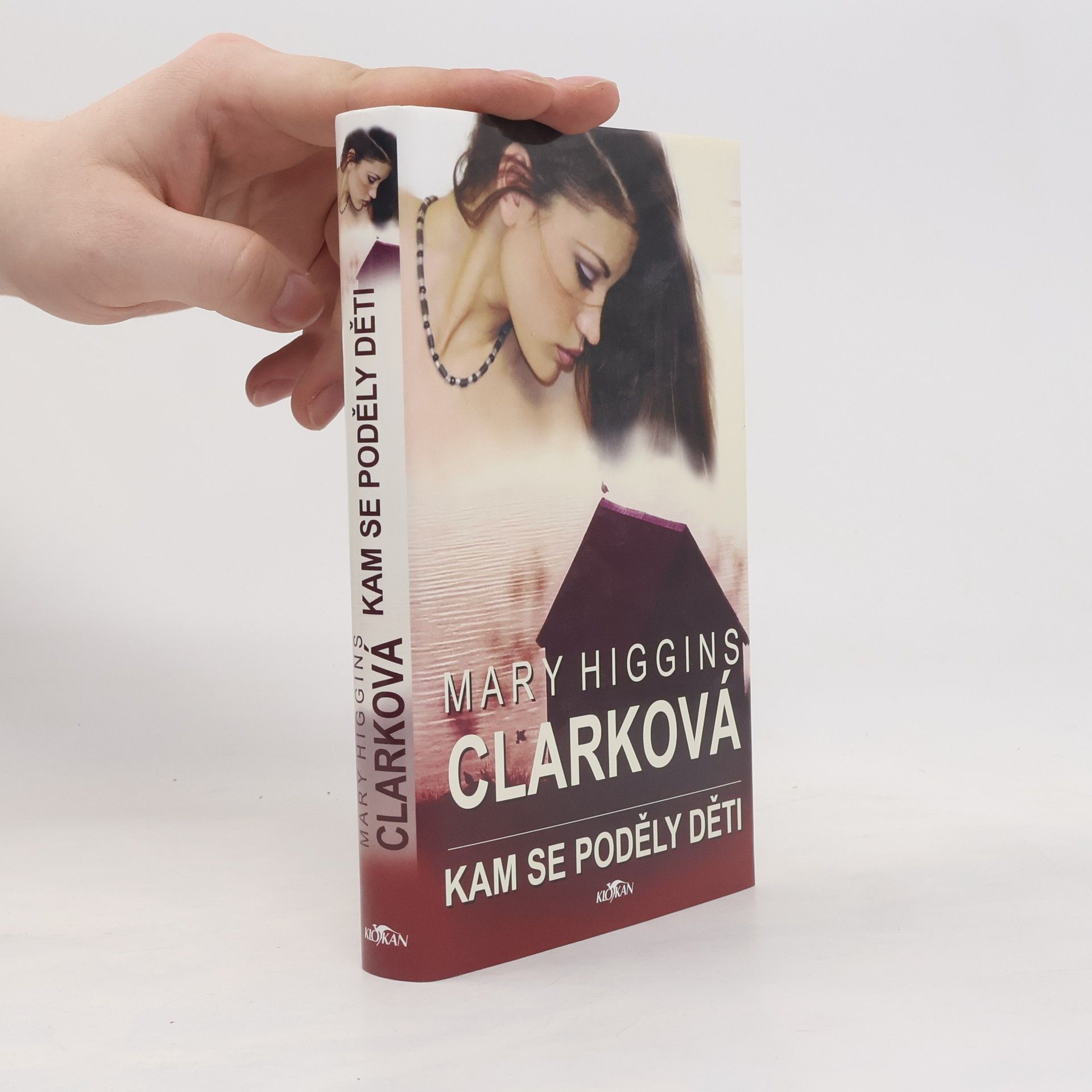 Mary Higginsová Clarková Kam se poděly děti