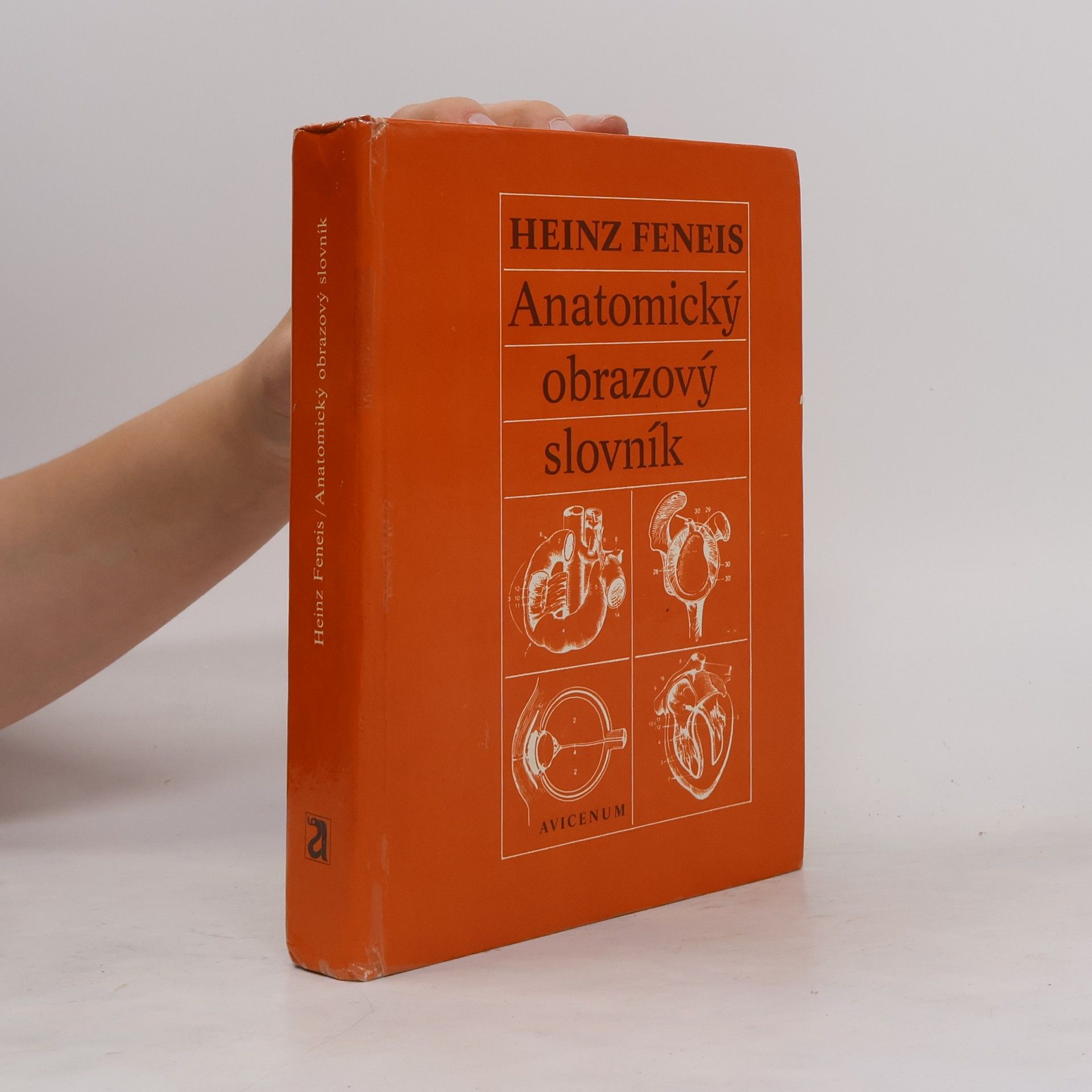 Heinz Feneis Anatomický obrazový slovník