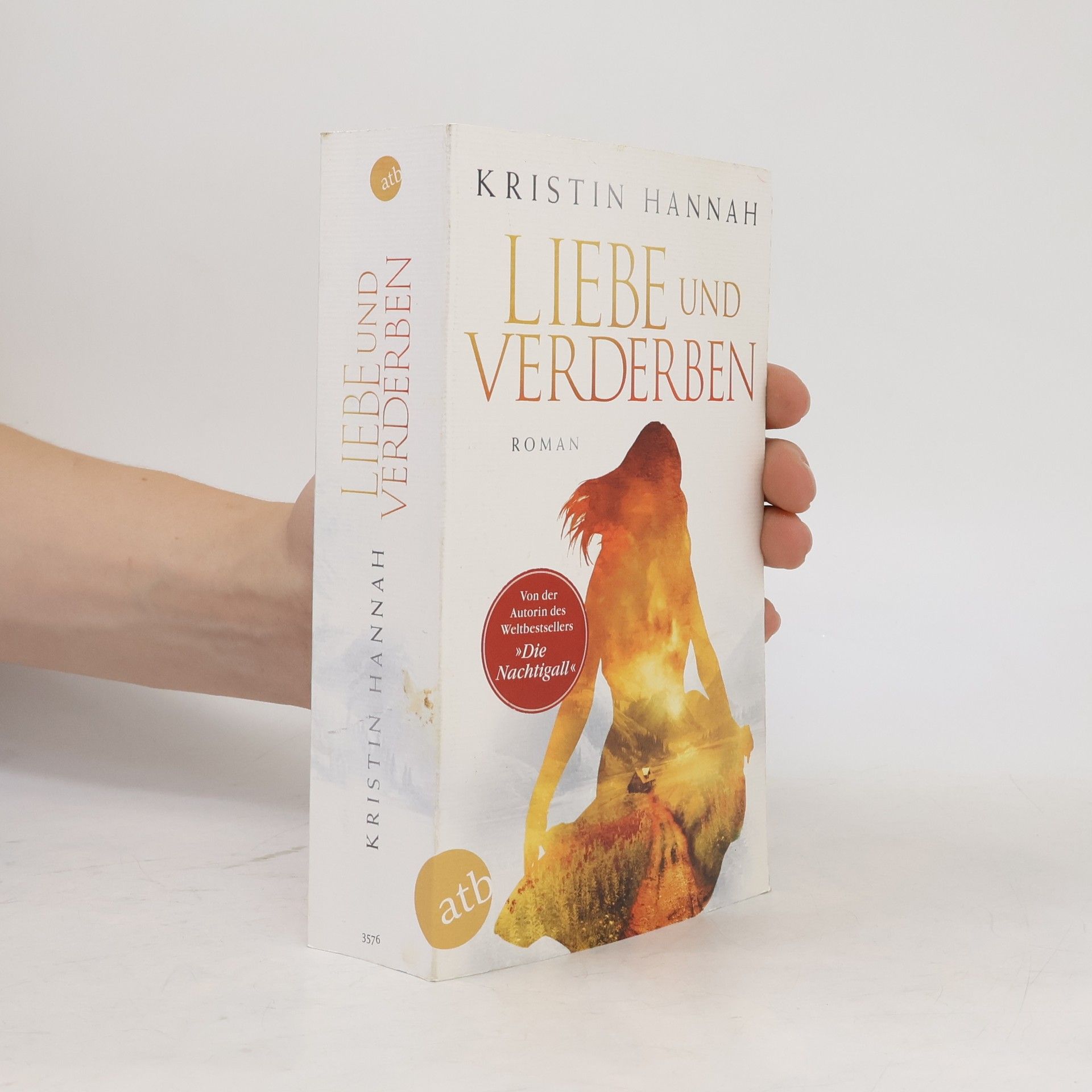Kristin Hannah Liebe und Verderben