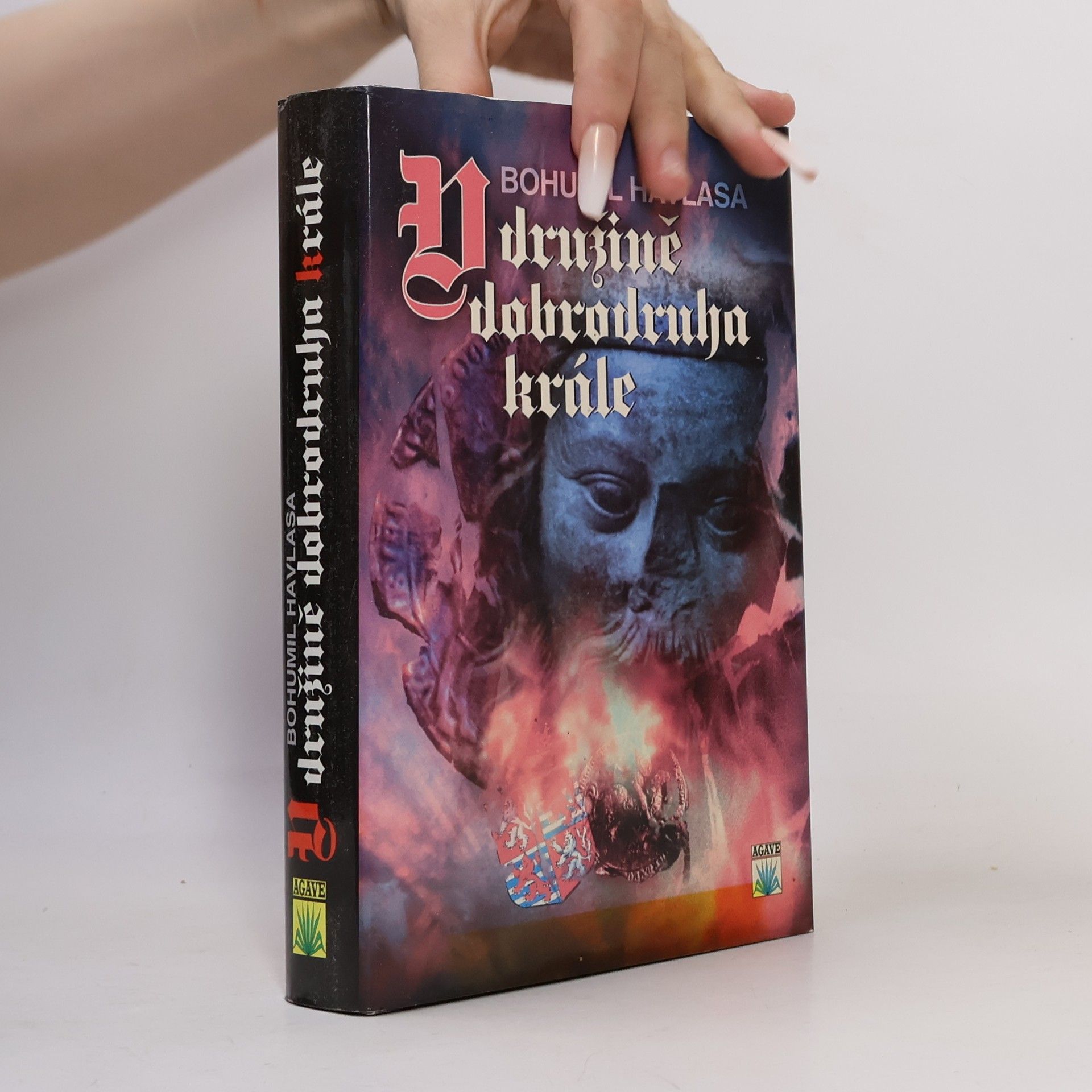 V družině dobrodruha krále