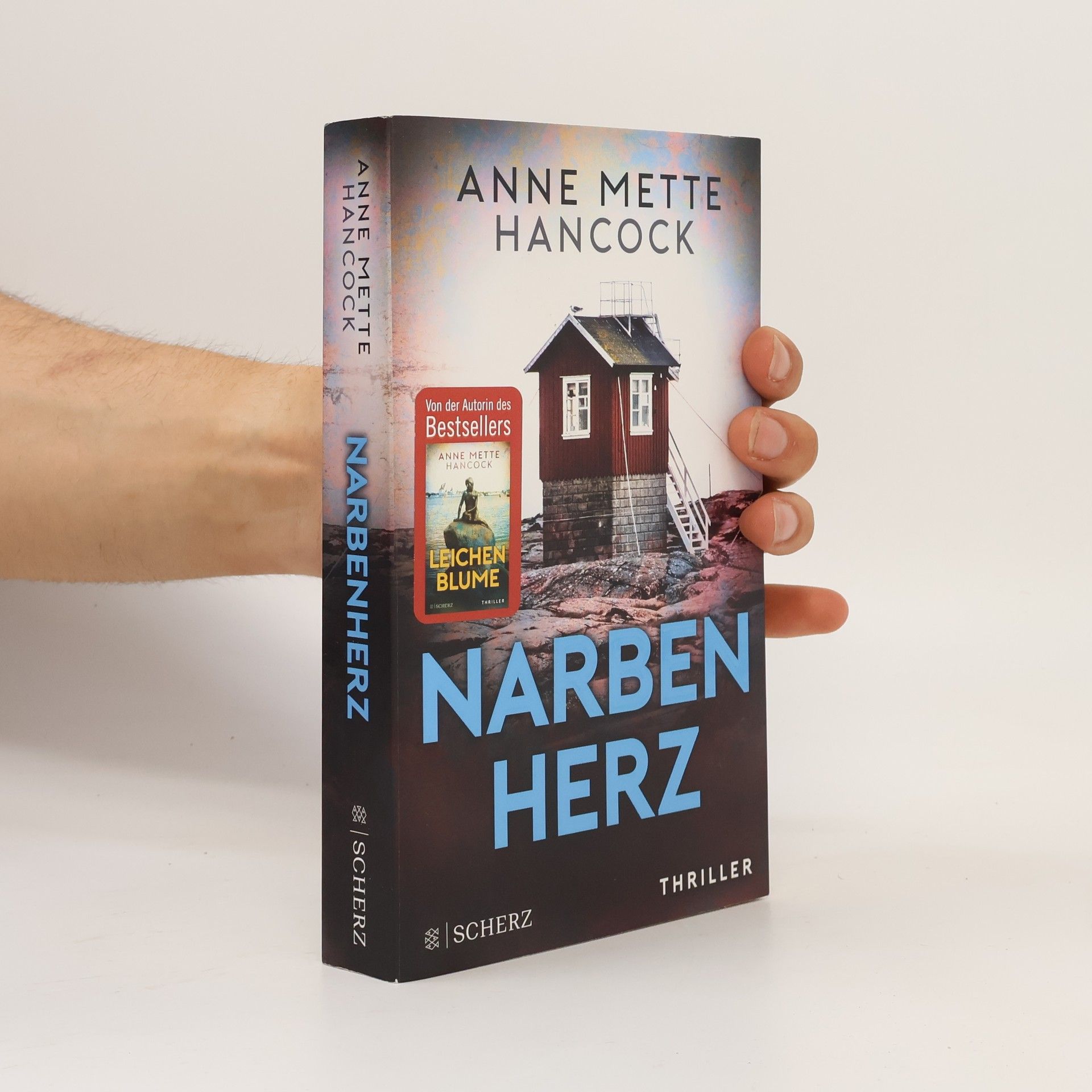 Anne Mette Hancock Narbenherz
