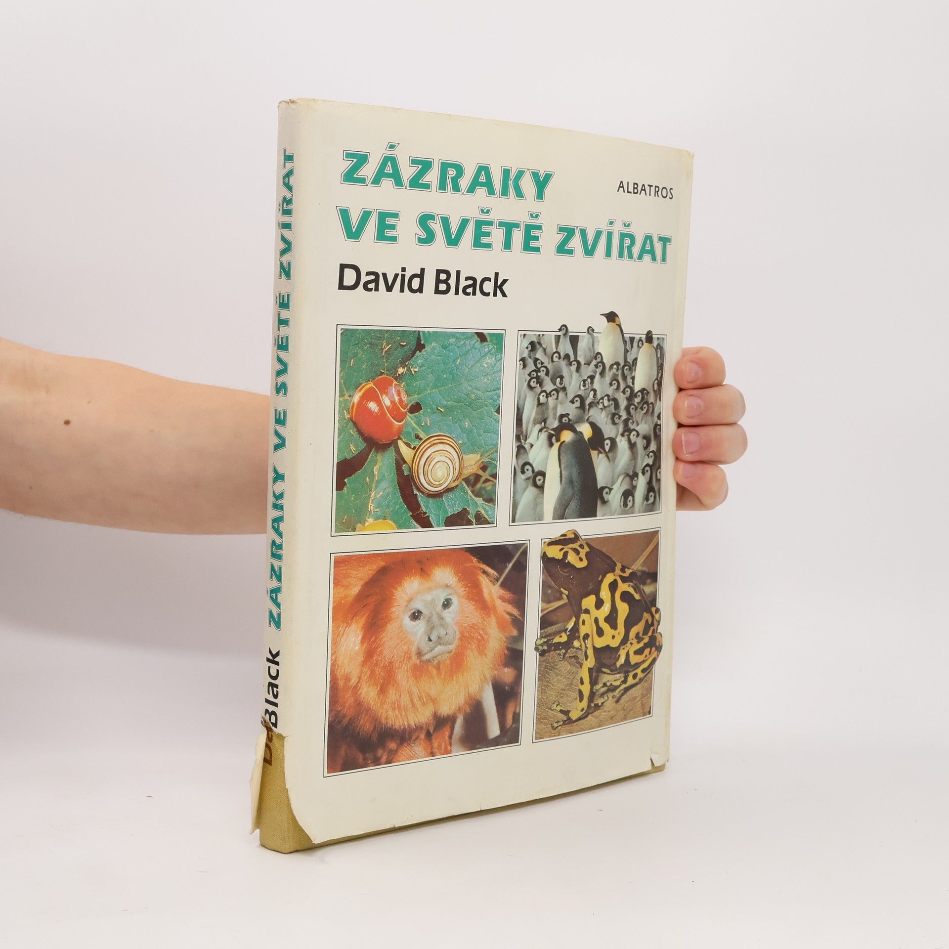 David Black Zázraky ve světě zvířat