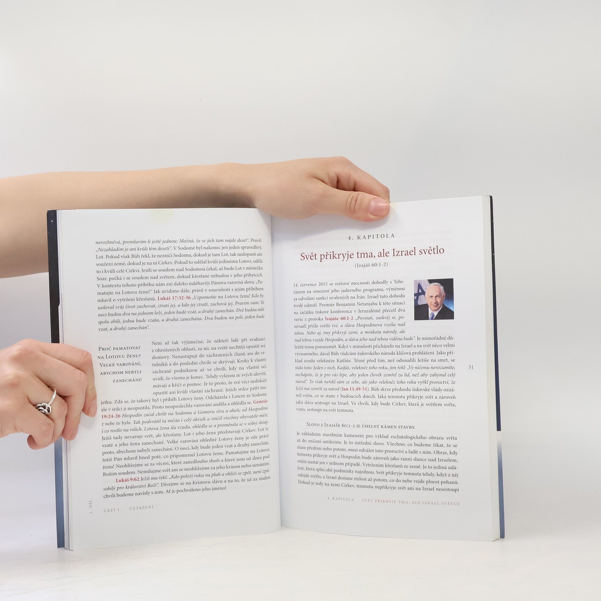 Sergej Miháľ Vytržení : tajemství Bible, které zatřese nebem i zemí