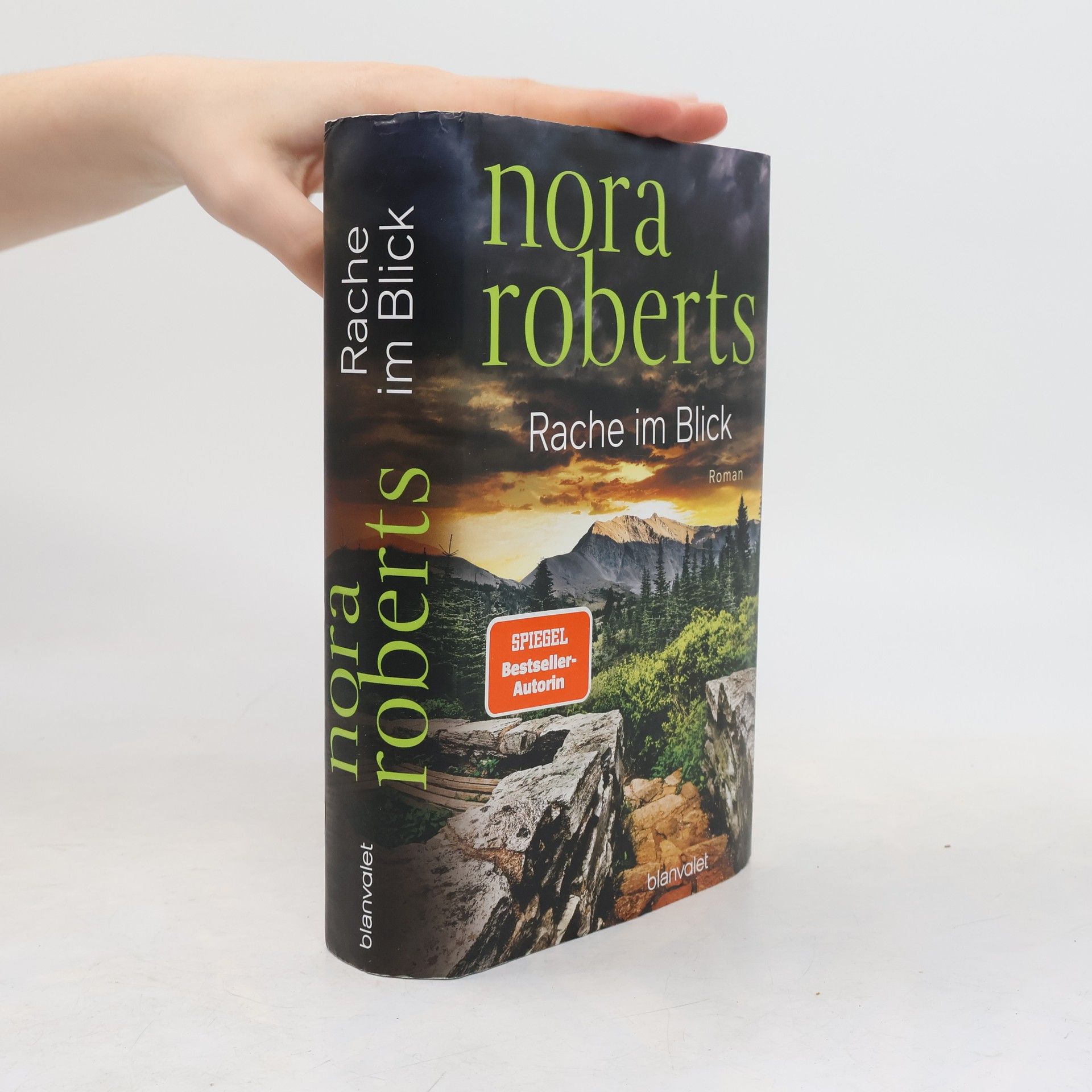 Nora Roberts Rache im Blick