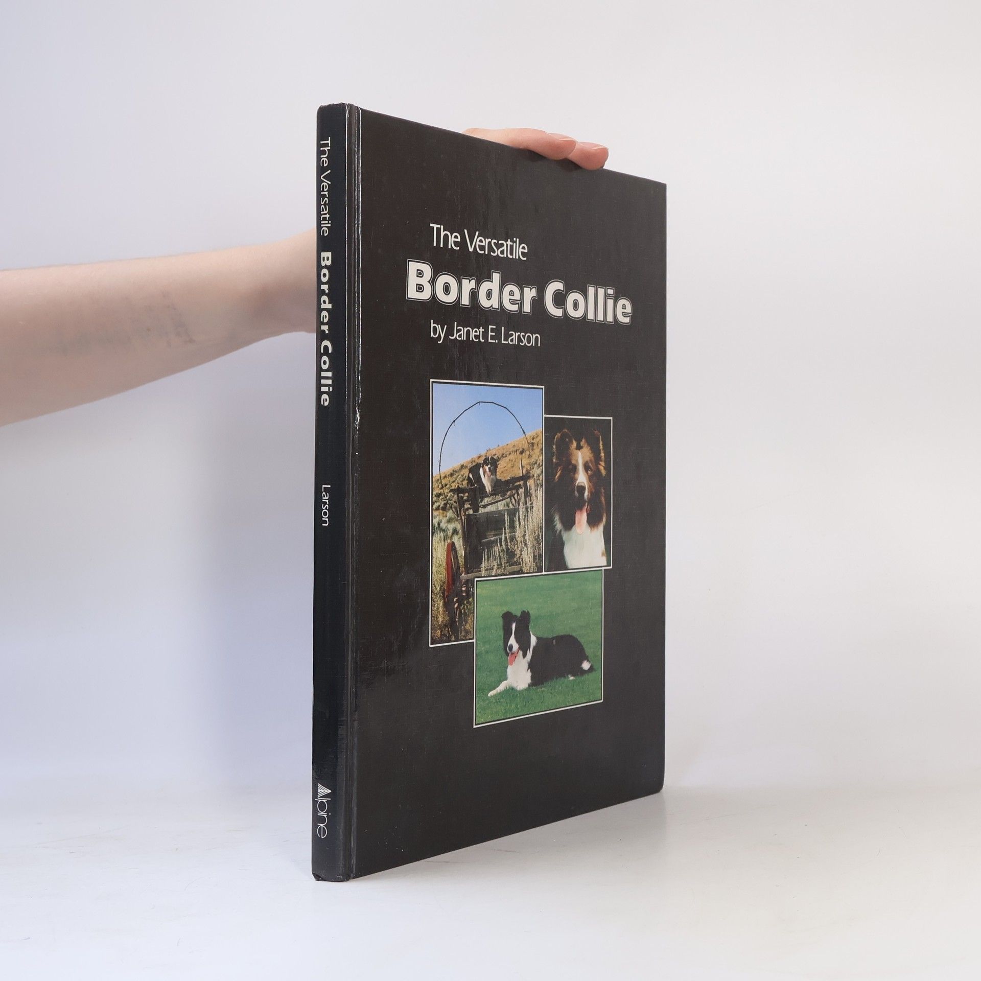 Janet Elisabeth Larson The Versatile Border Collie
