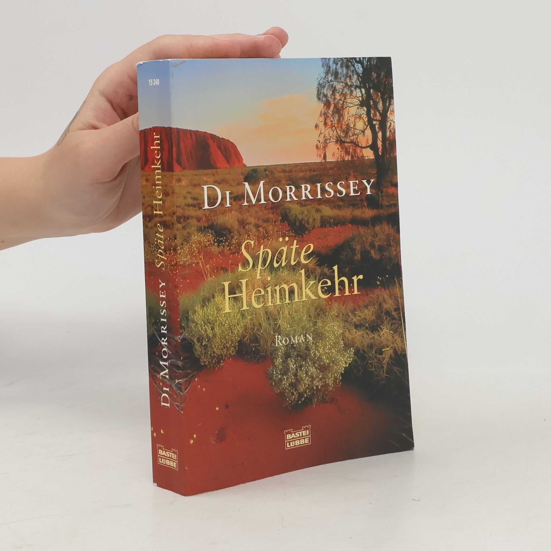 Di Morrissey Späte Heimkehr