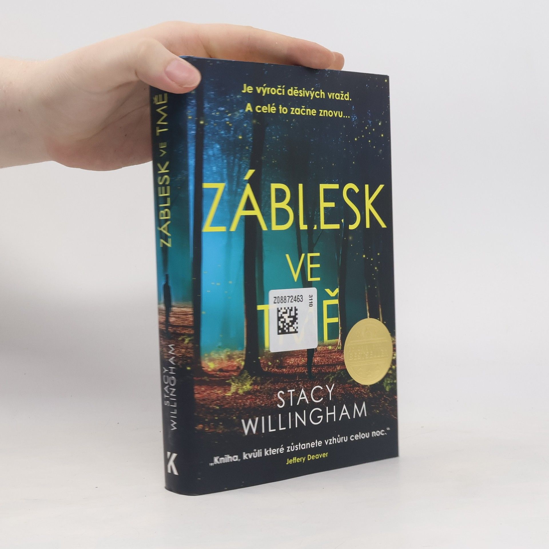 Stacy Willingham Záblesk ve tmě