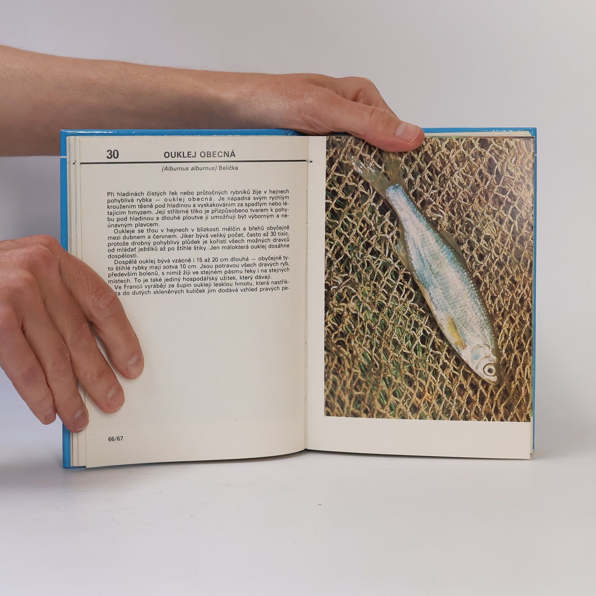 Otakar Štěpánek Kapesní atlas ryb, obojživelníků a plazů