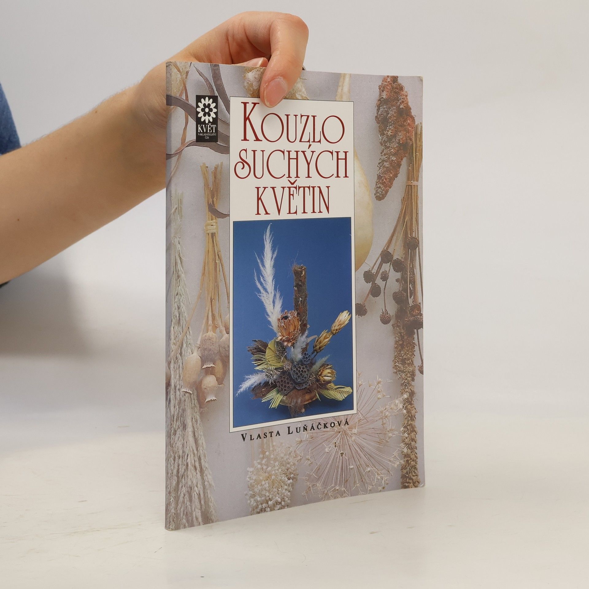 Vlasta Luňáčková Kouzlo suchých květin