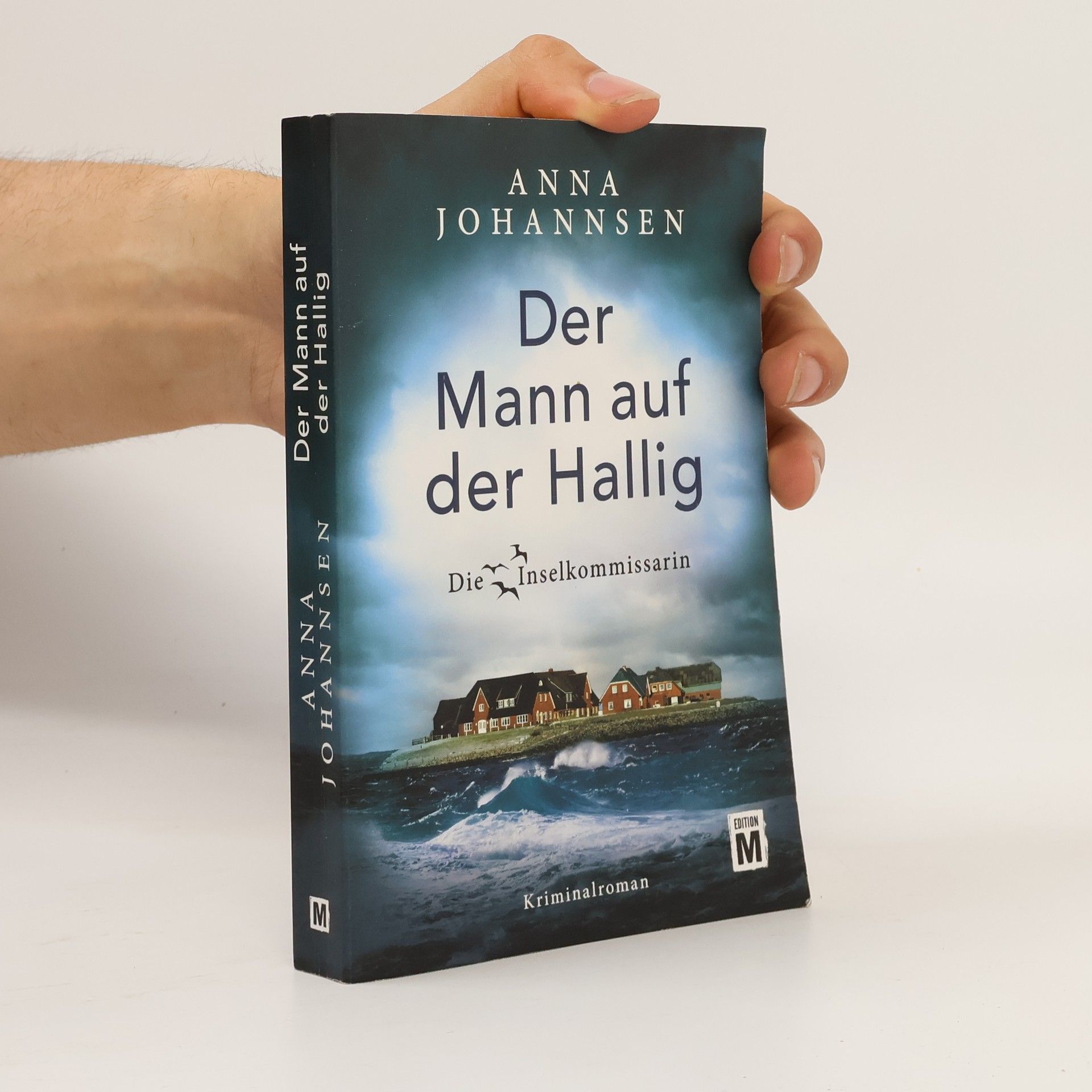 Anna Johannsen Der Mann auf der Hallig