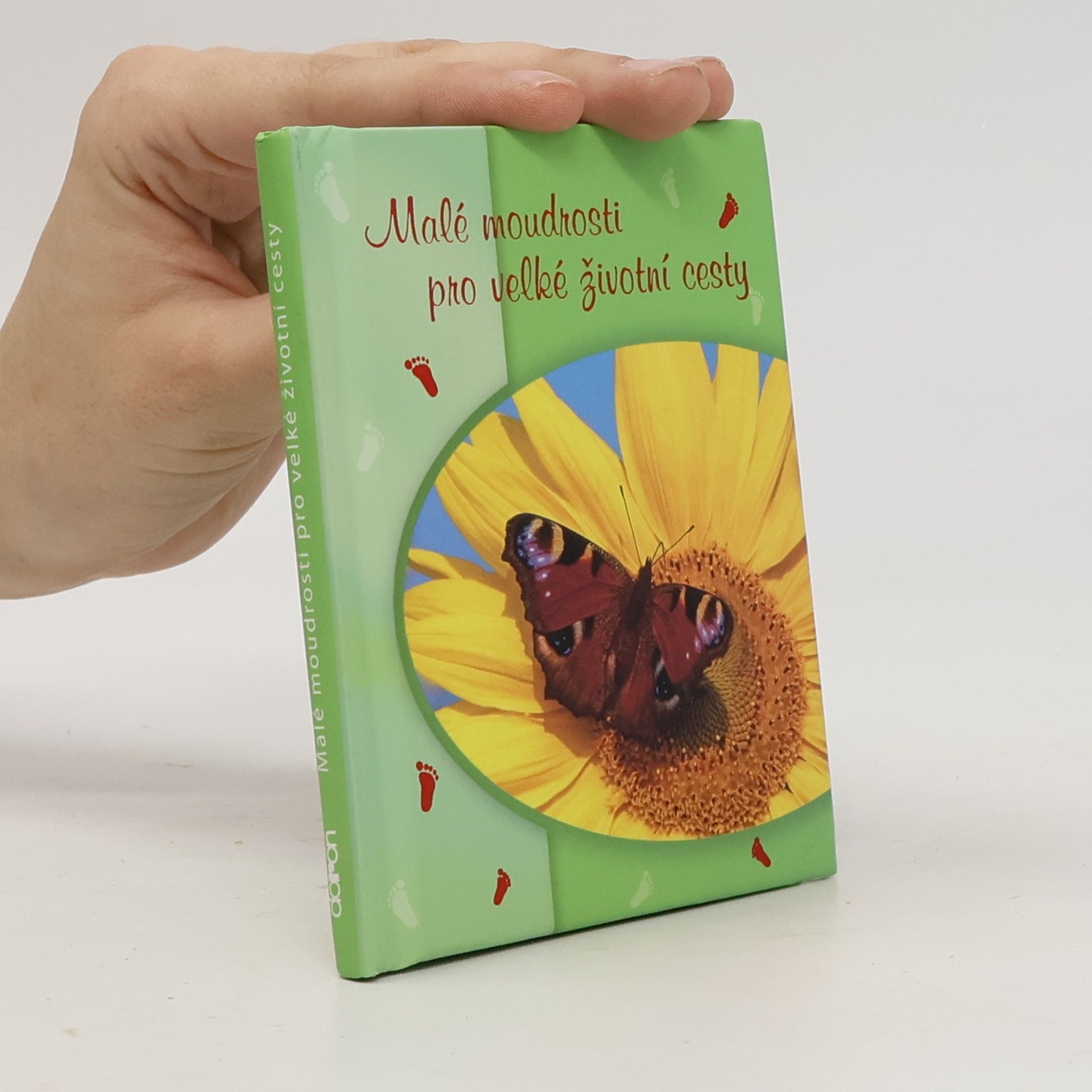 Jindřich Sirovátka Malé moudrosti pro velké životní cesty
