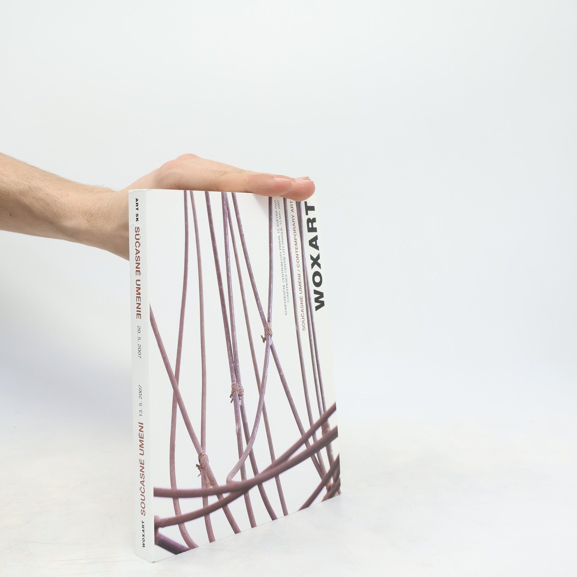 Kolektiv autorů Současné umění. Súčasné umenie. Contemporary Art