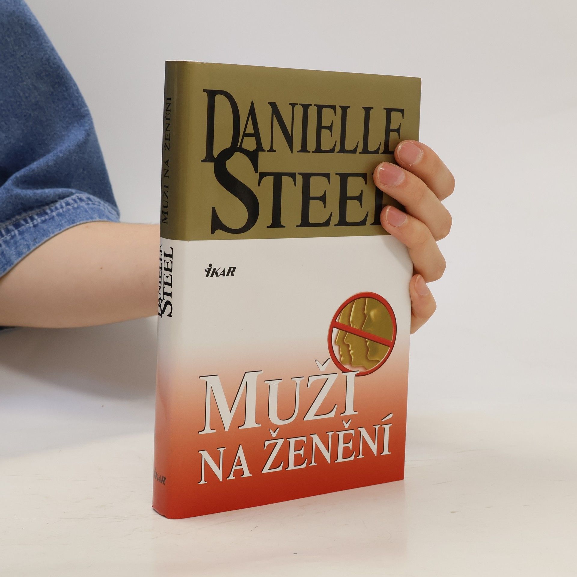 Danielle Steel Muži na ženění