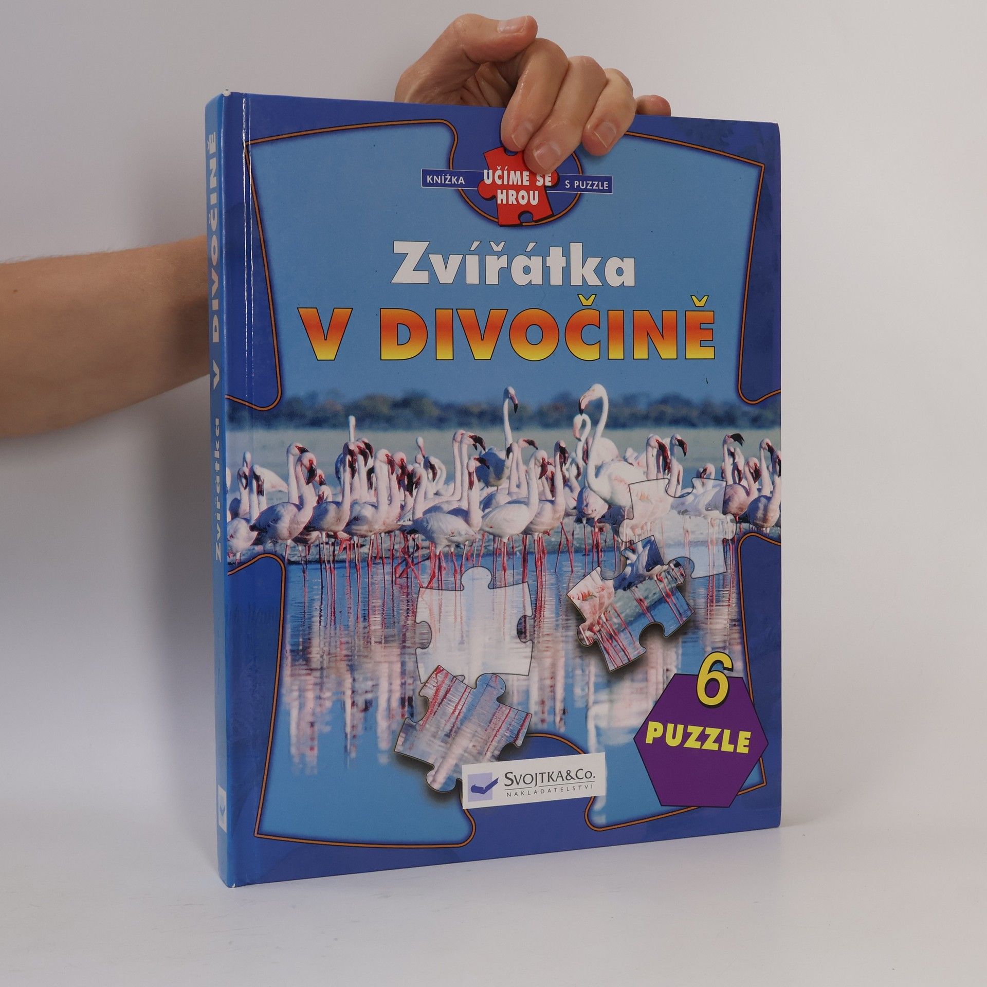 Marco Ferraris Zvířátka v divočině