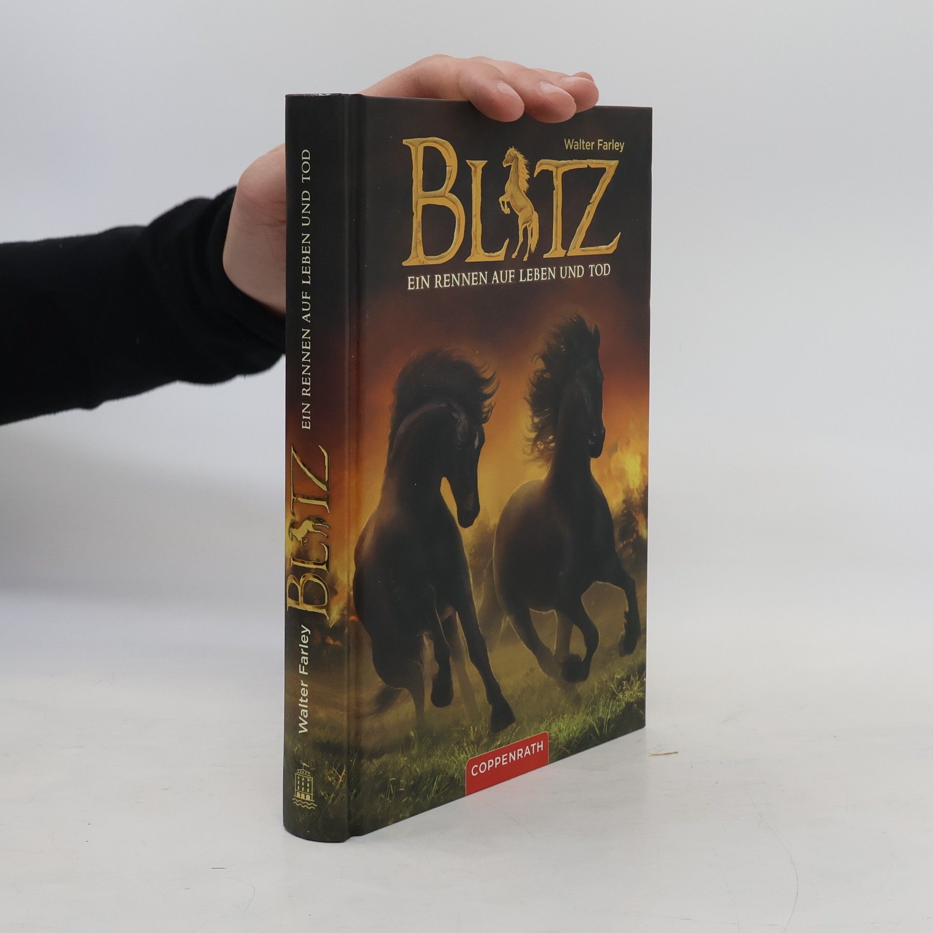 Walter Farley Blitz - ein Rennen auf Leben und Tod