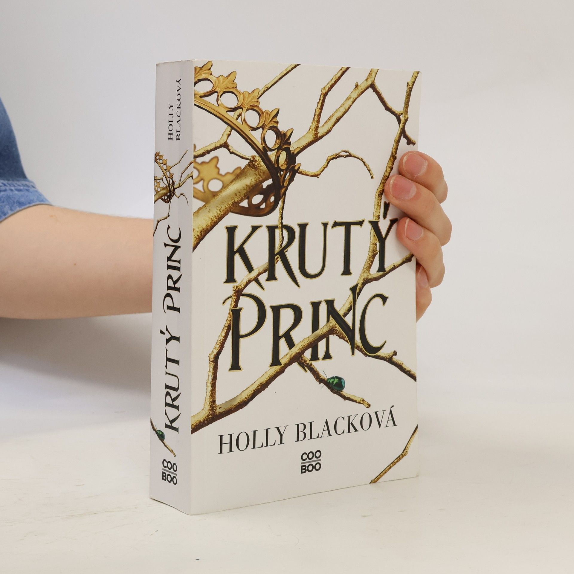 Holly Black Krutý princ