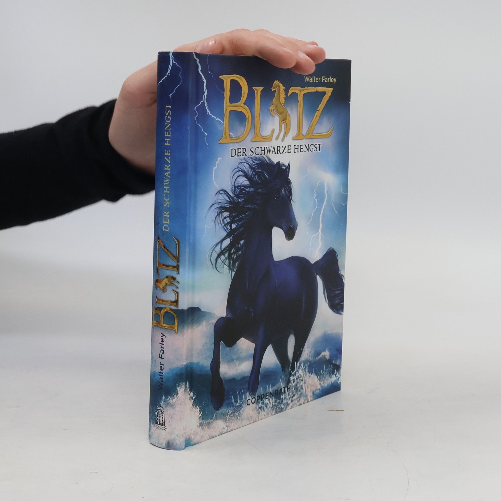 Walter Farley Blitz, der schwarze Hengst