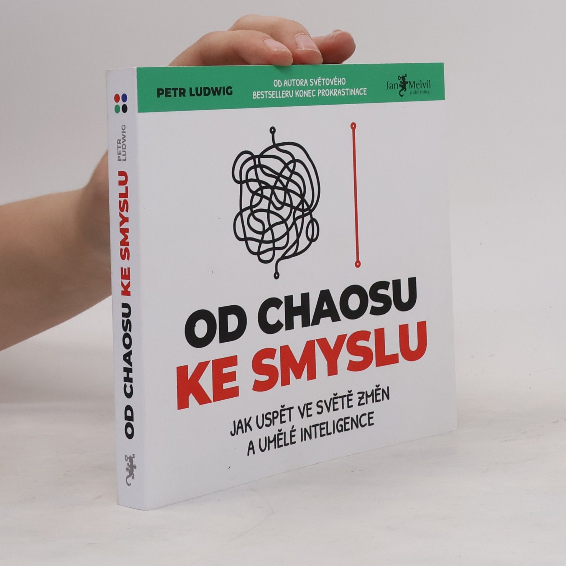Petr Ludwig Od chaosu ke smyslu
