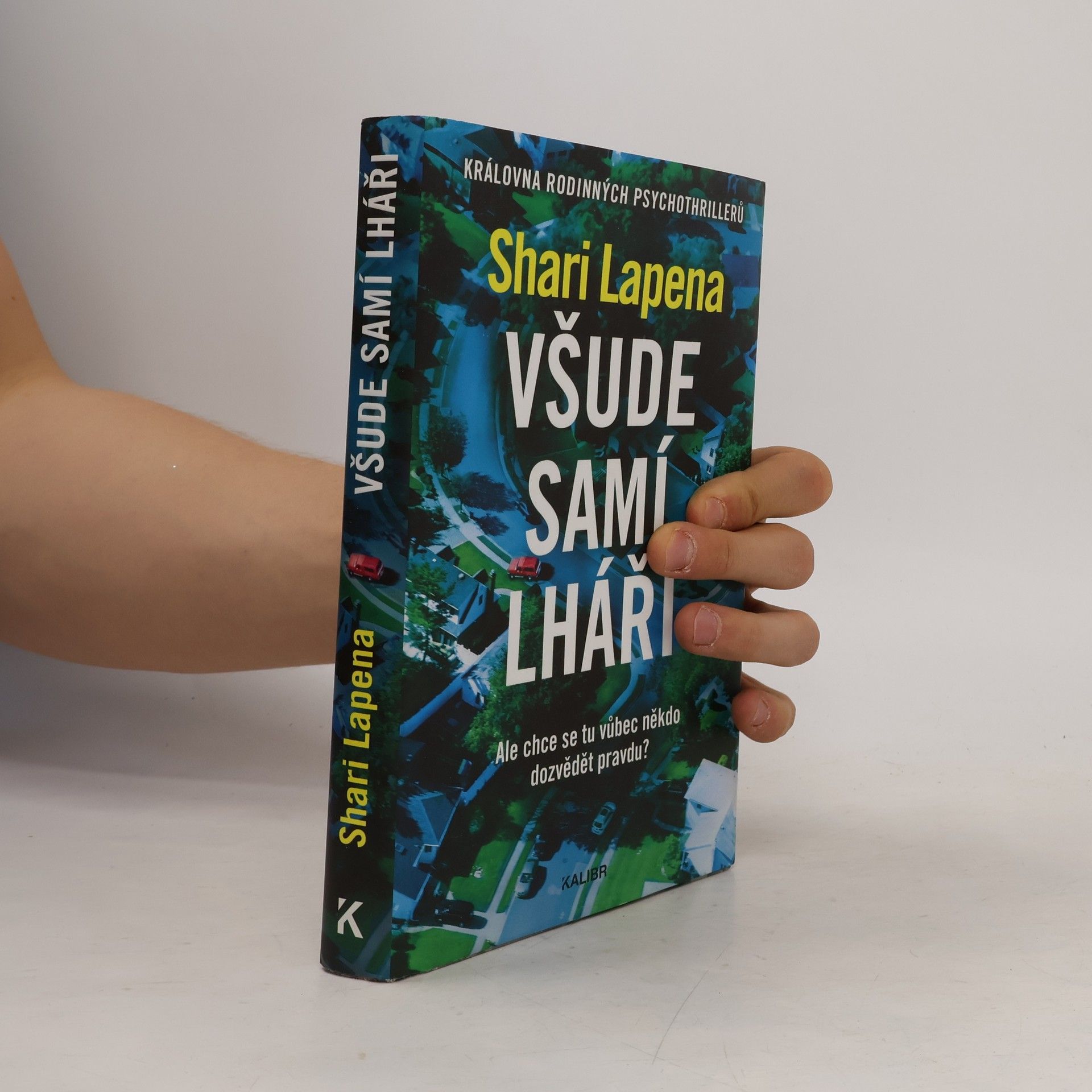 Shari Lapena Všude samí lháři
