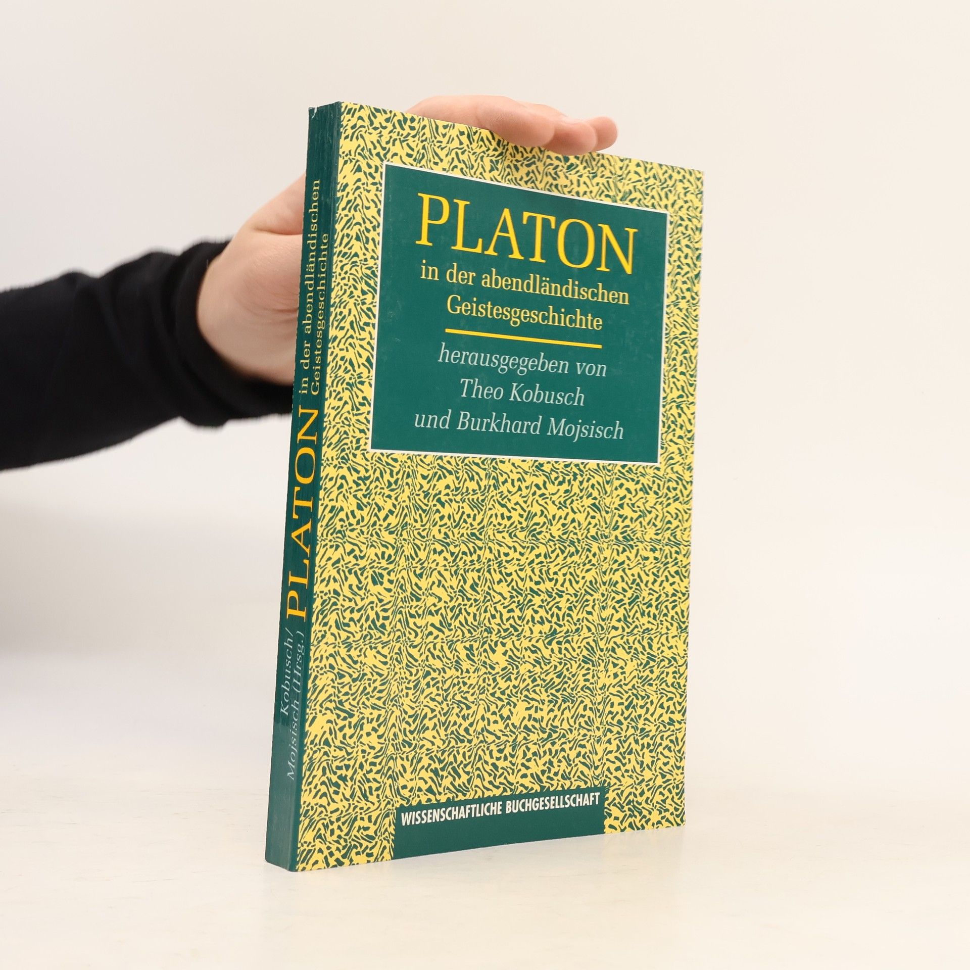 Burkhard Mojsisisch Platon in der abendländischen Geistesgeschichte