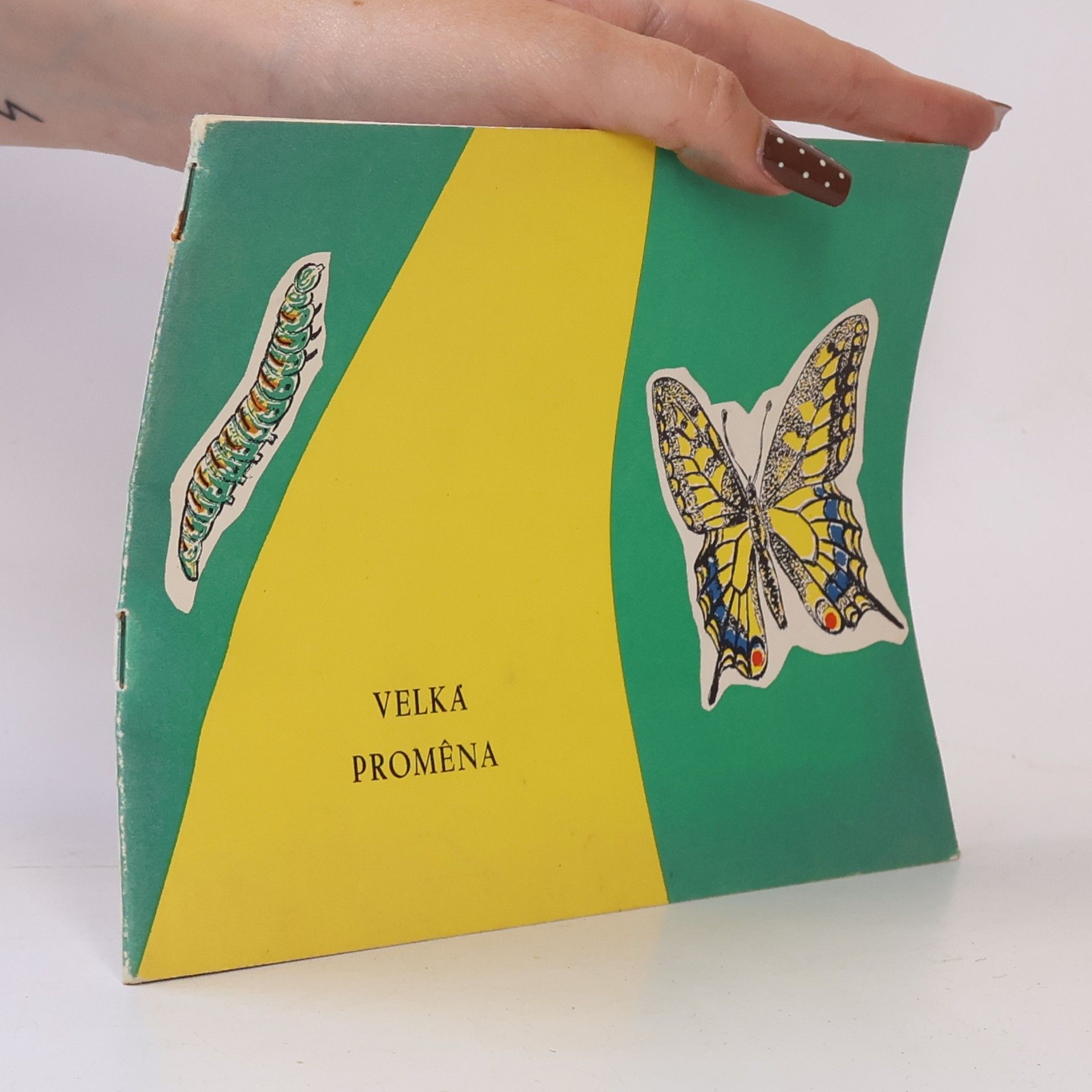 Autorenkollektiv Velká proměna