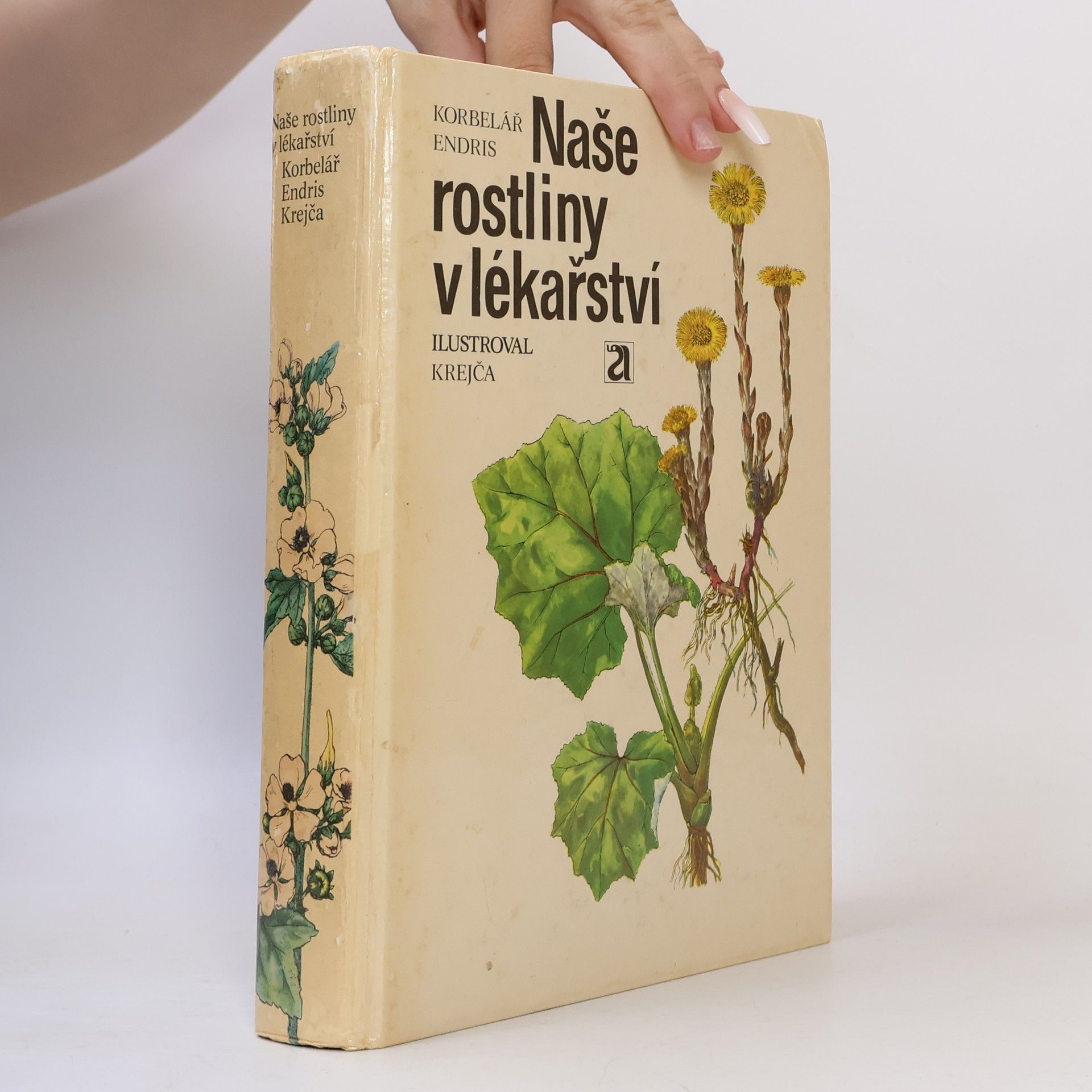 Jaroslav Korbelář Naše rostliny v lékařství
