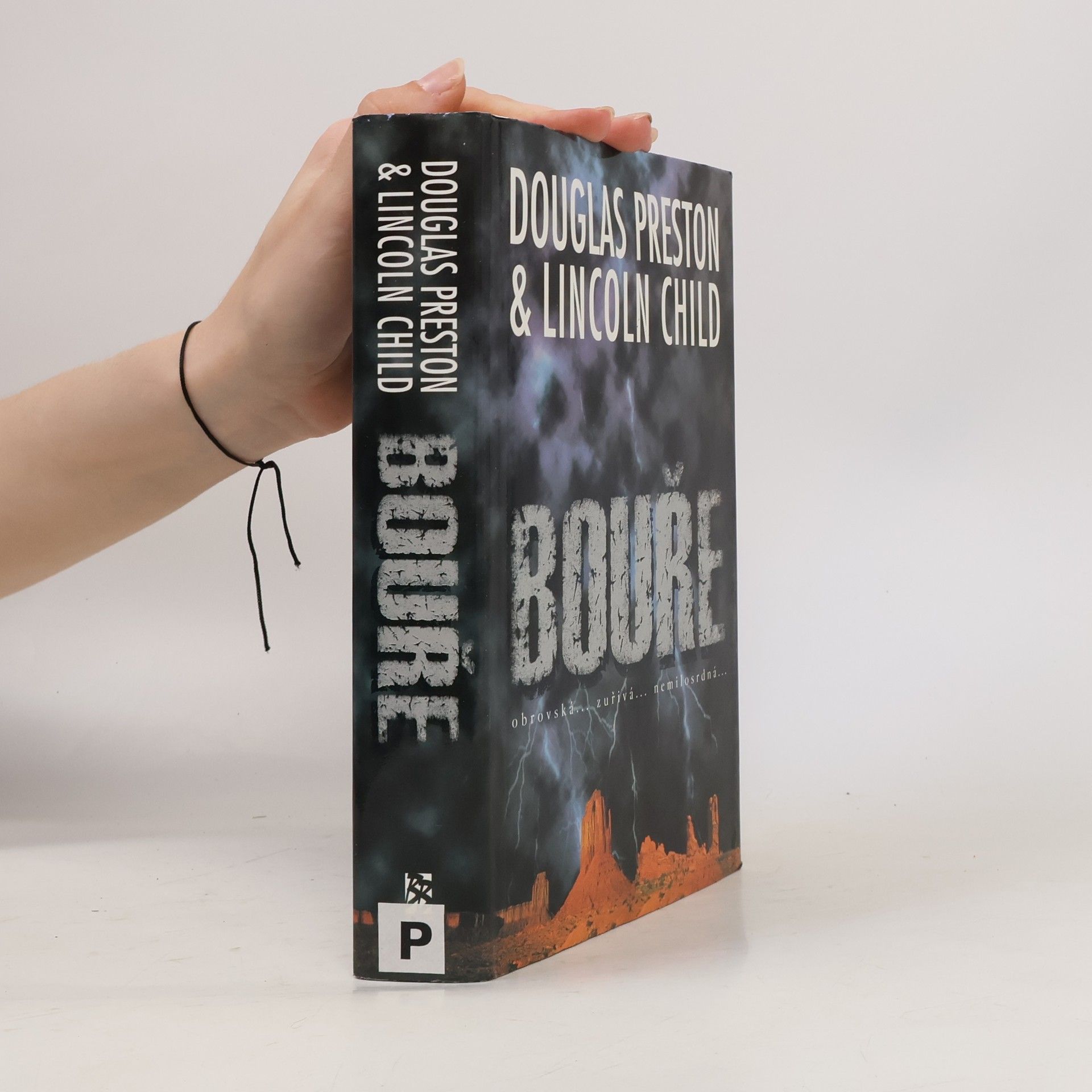 Douglas Preston Bouře
