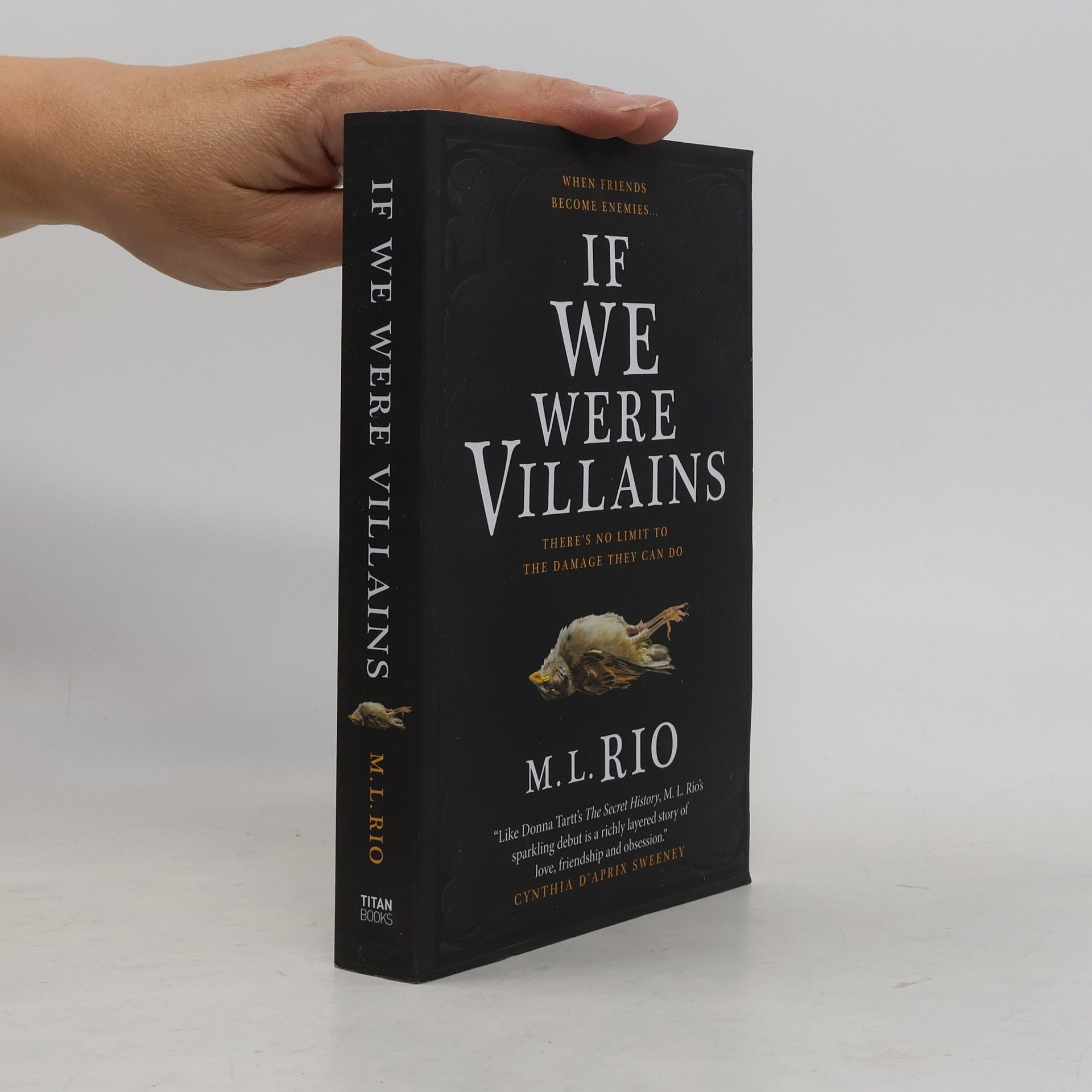 M. L. Rio If We Were Villains