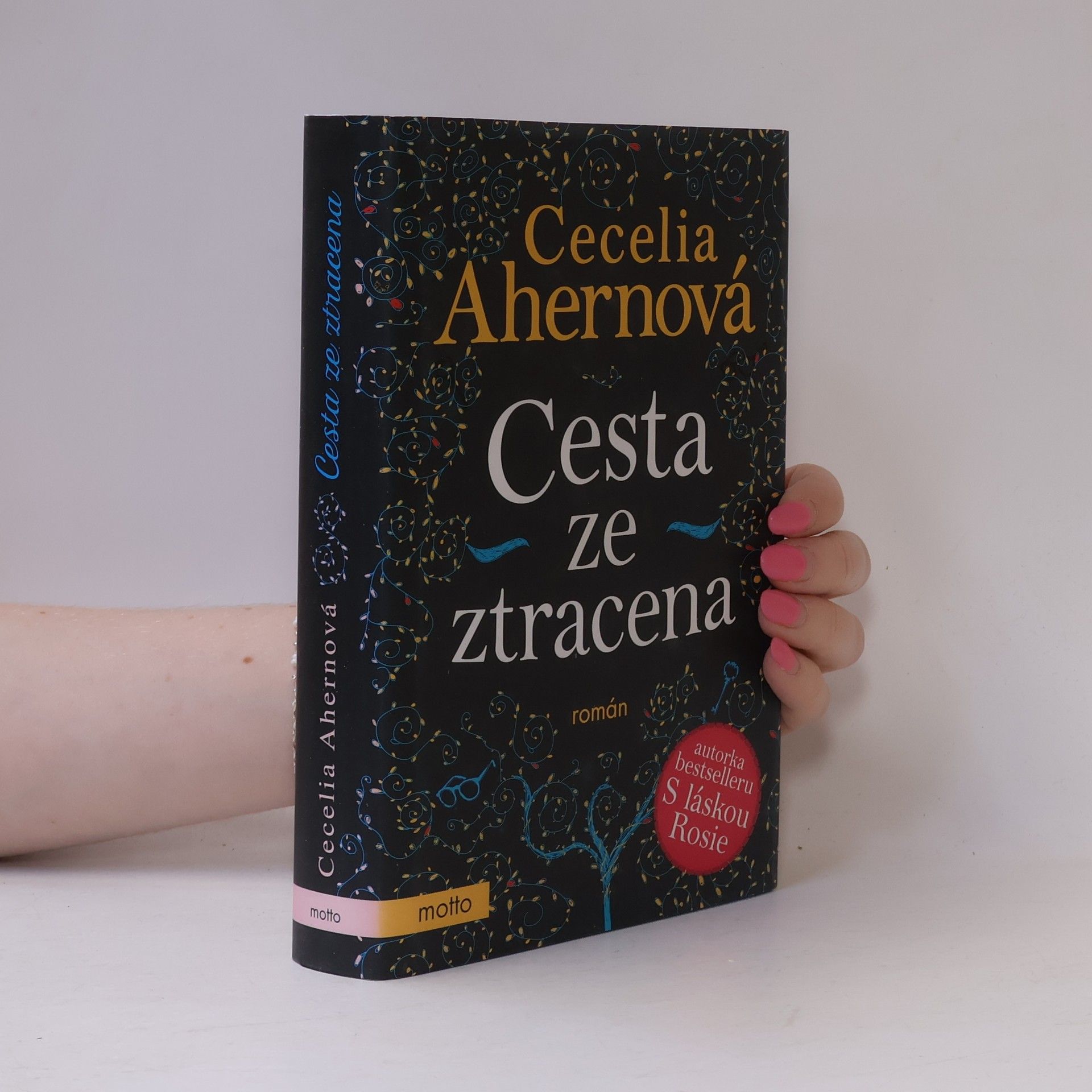 Cecelia Ahern Cesta ze ztracena