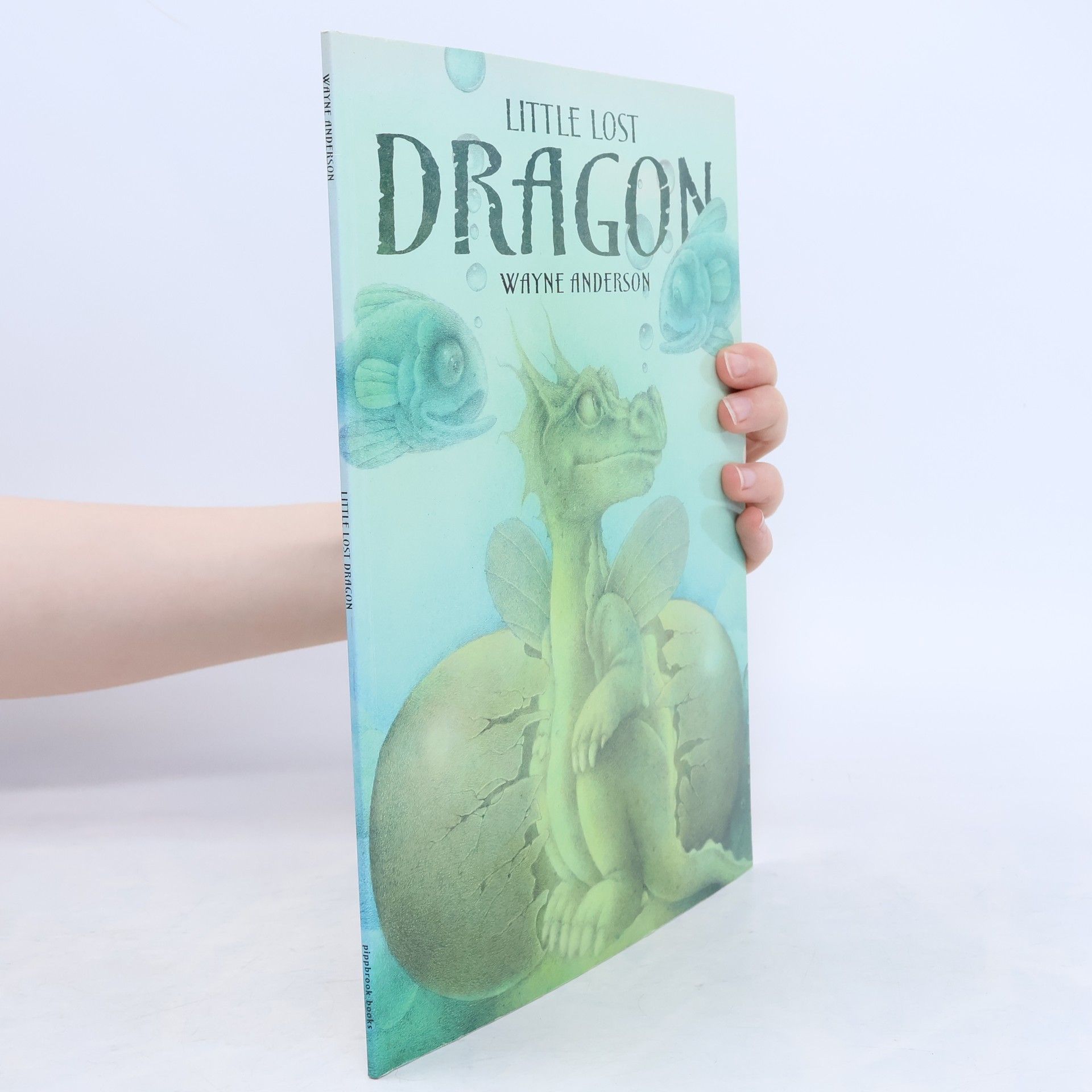 Little Lost Dragon