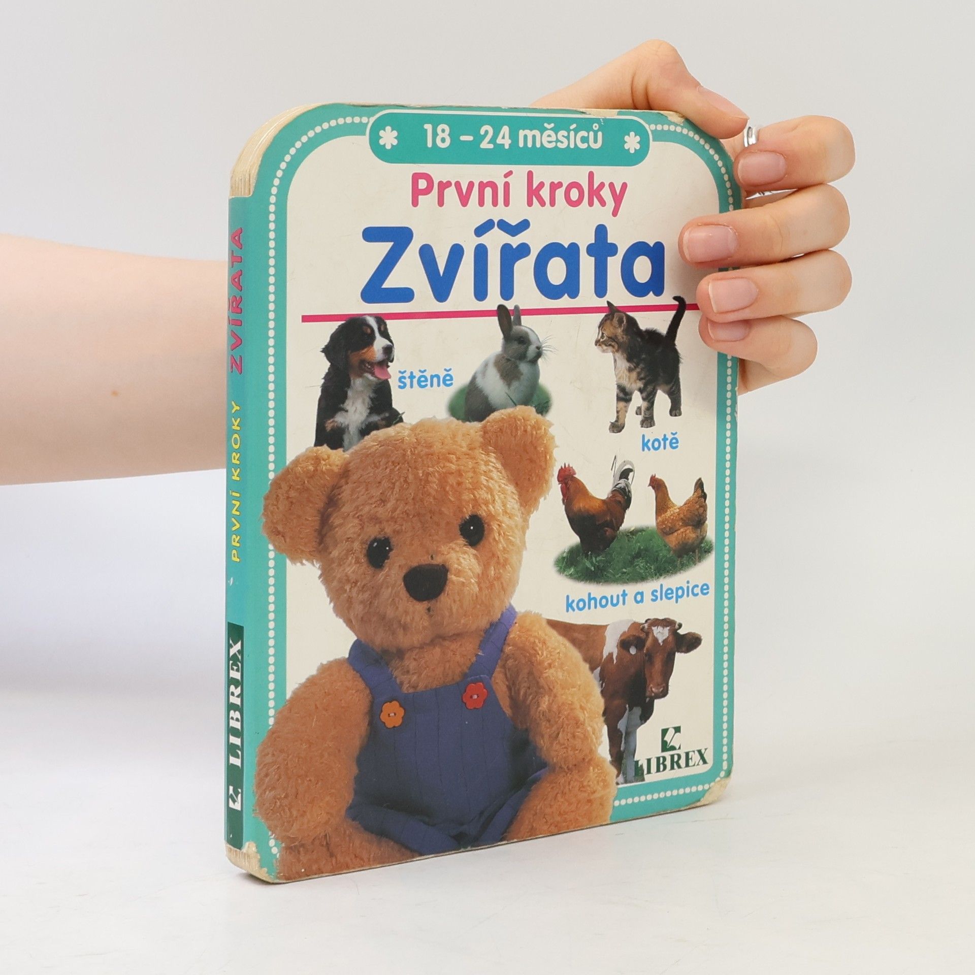 Kolektív autorov První kroky. Zvířata