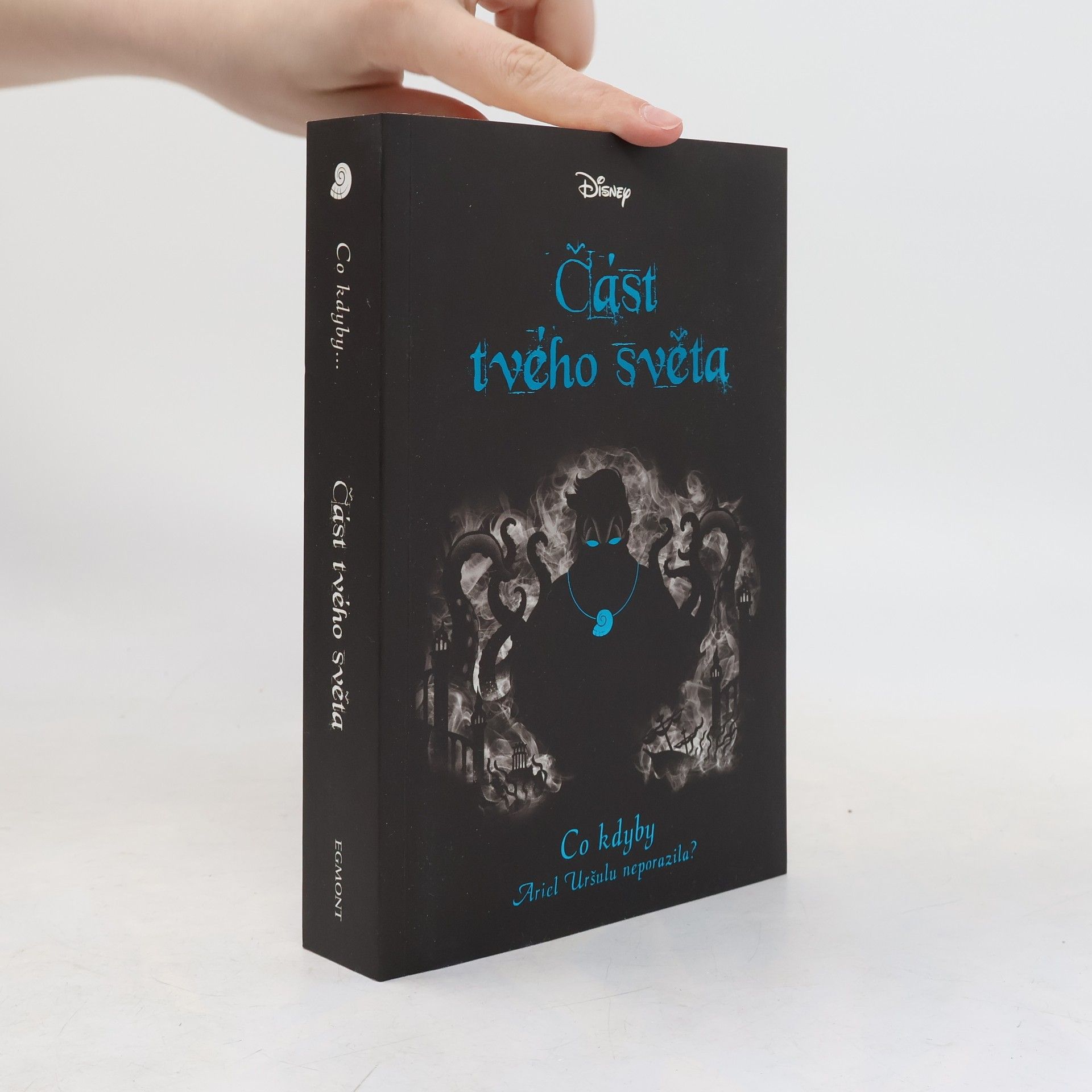 Elizabeth J. Braswell Část tvého světa : co kdyby Ariel Uršulu neporazila?