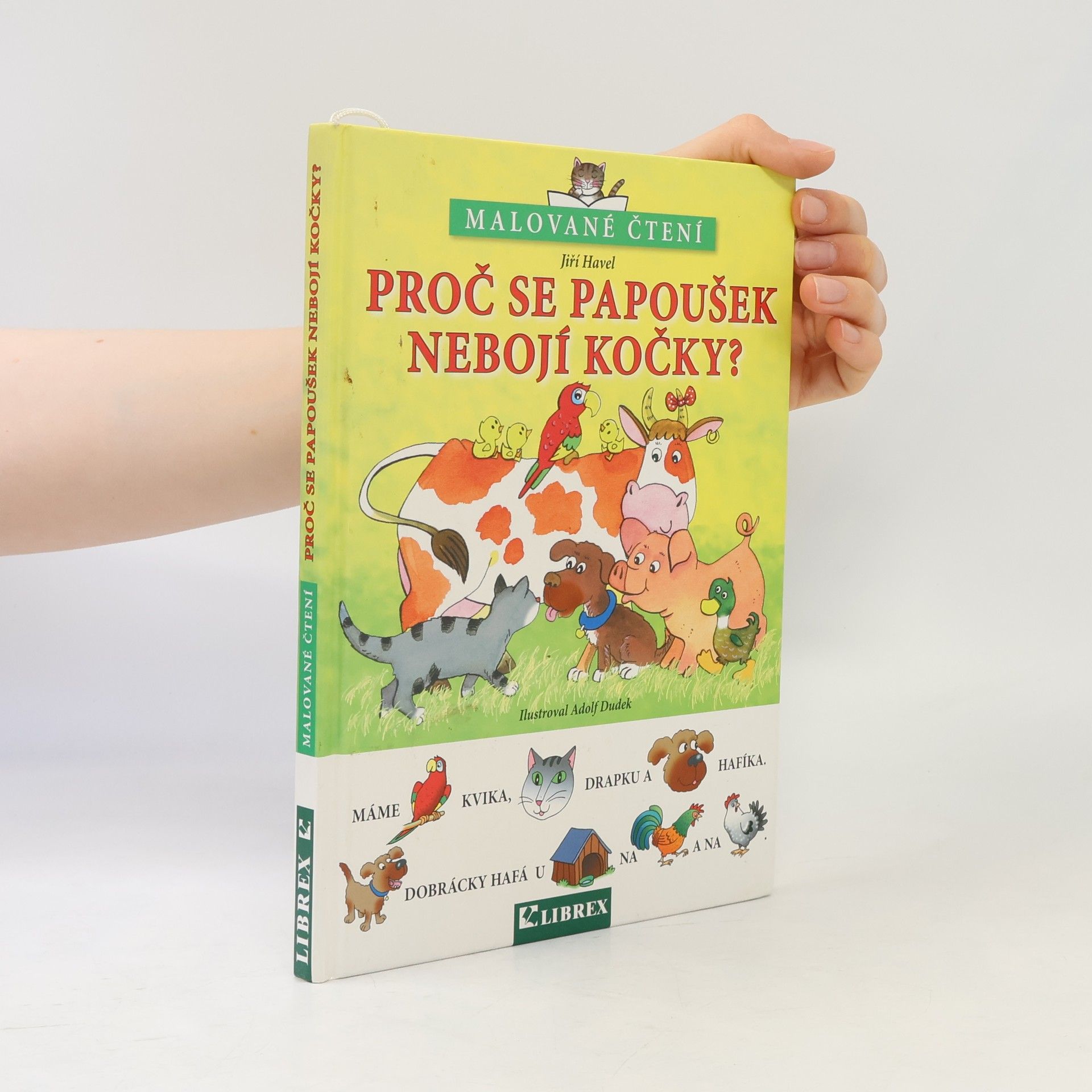 Proč se papoušek nebojí kočky?