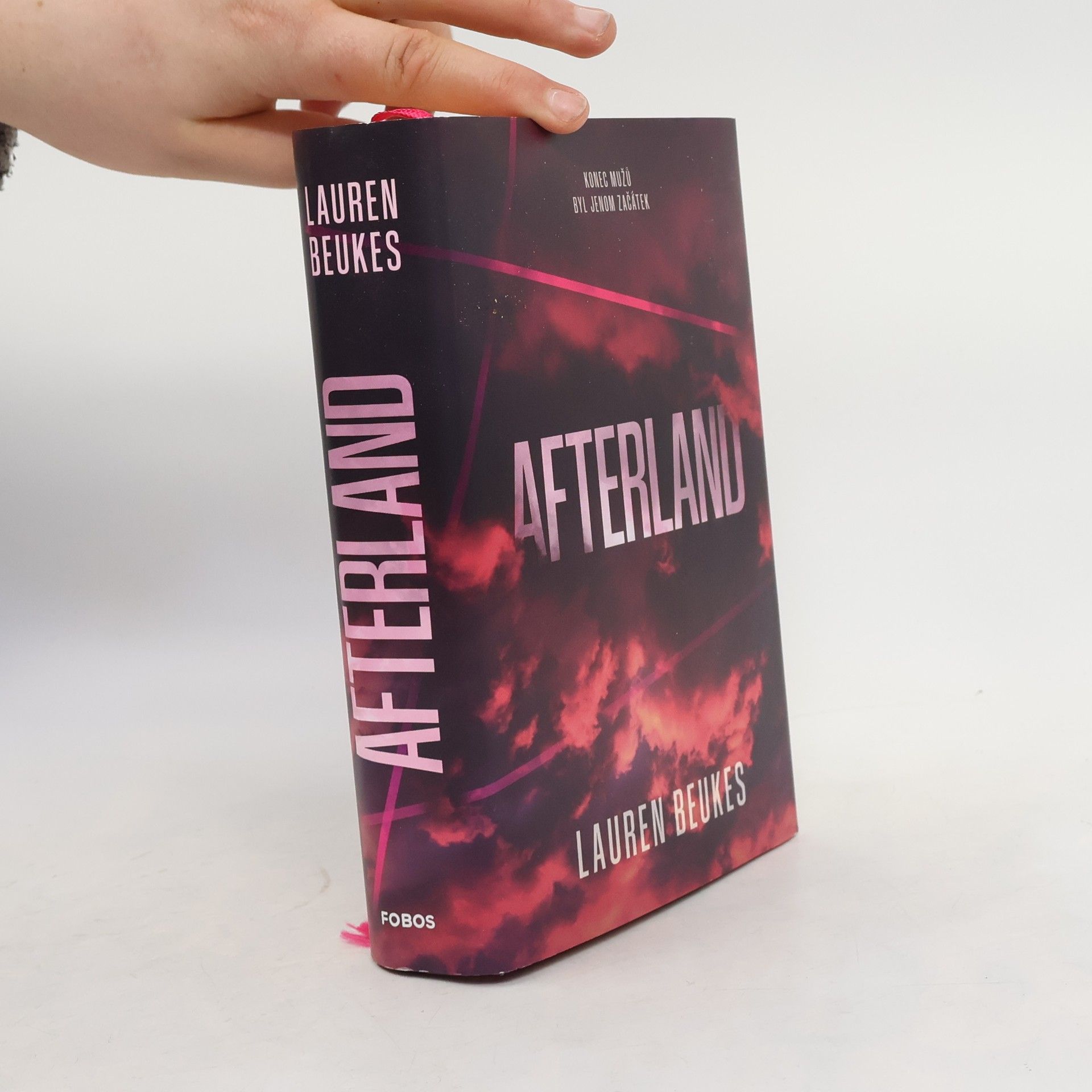 Lauren Beukes Afterland
