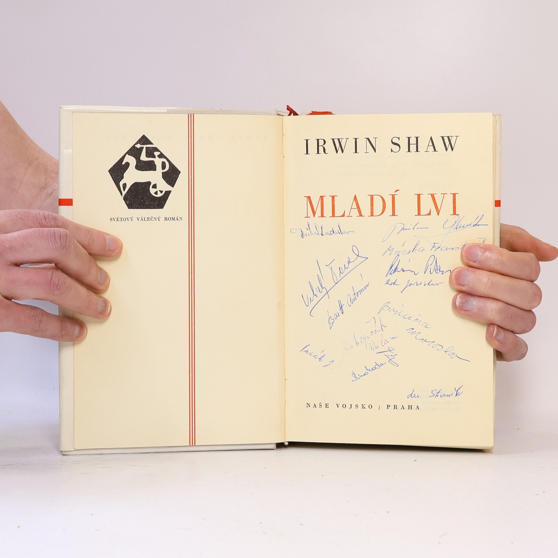 Irwin Shaw Mladí lvi