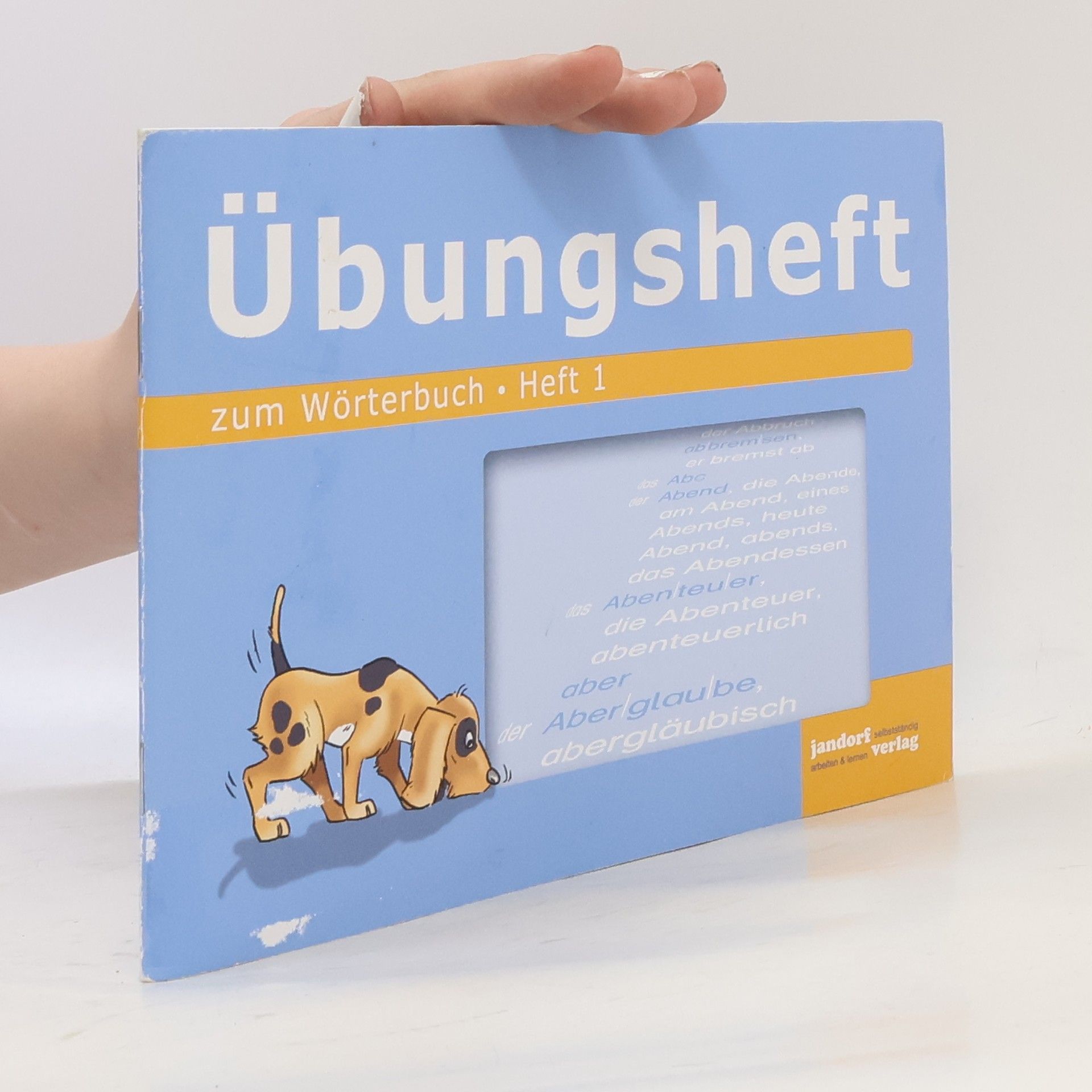 Jan Debbrecht Übungsheft zum Wörterbuch, ab Klasse 2