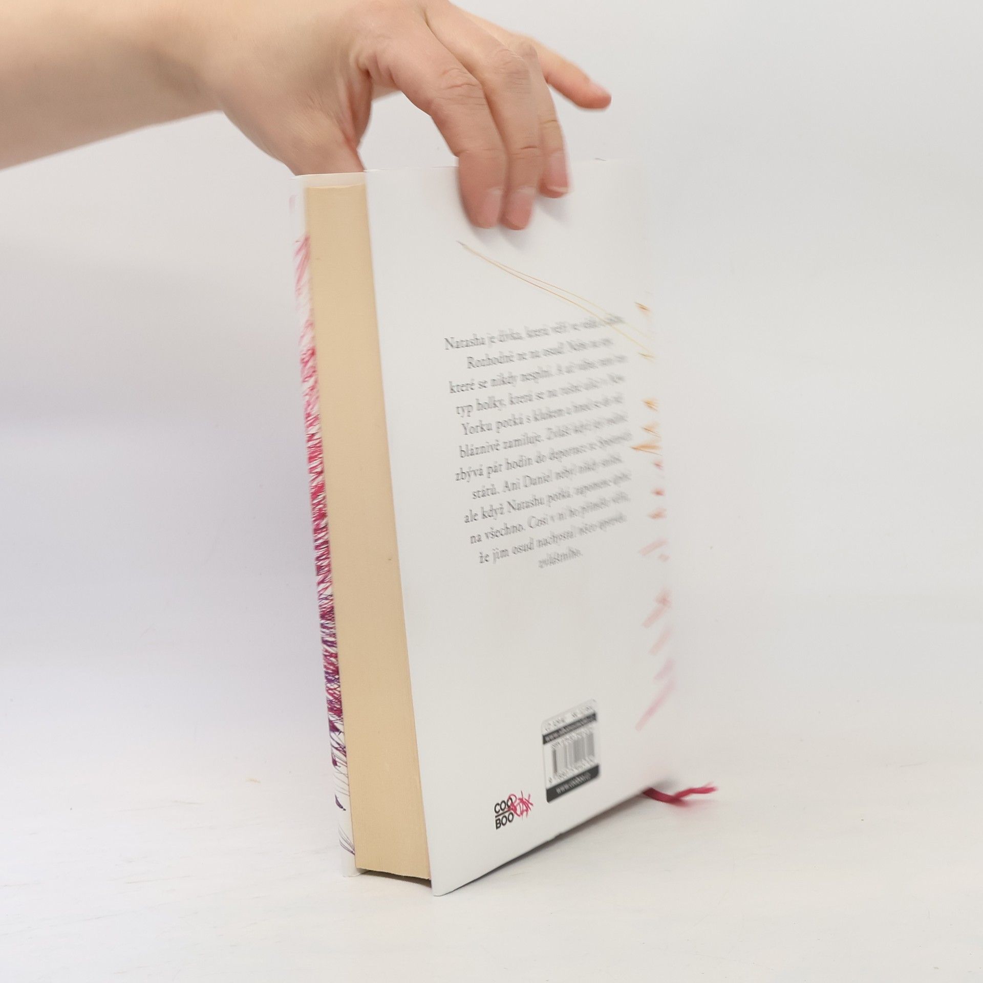 Nicola Yoon Slunce je také hvězda