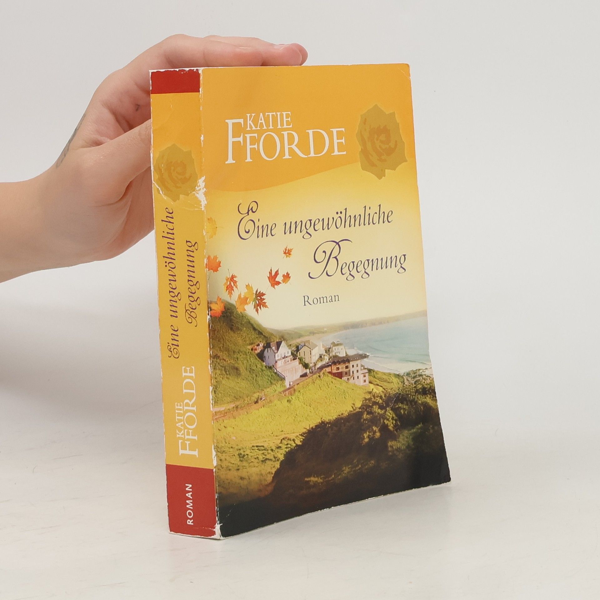 Katie Fforde Eine ungewöhnliche Begegnung