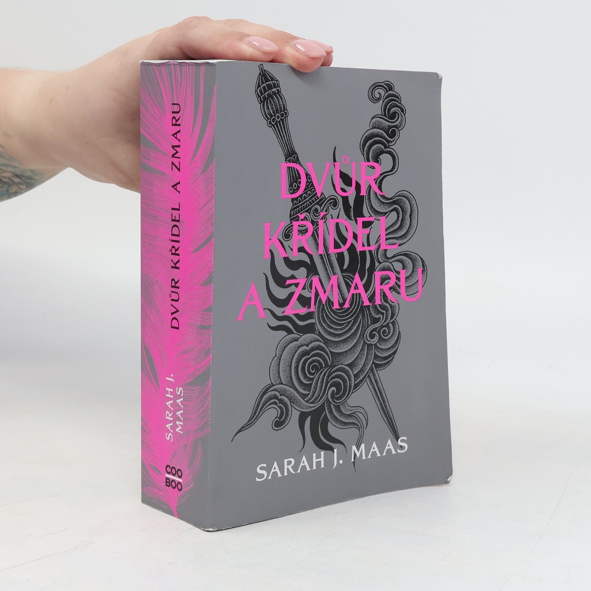 Sarah J. Maas Dvůr křídel a zmaru