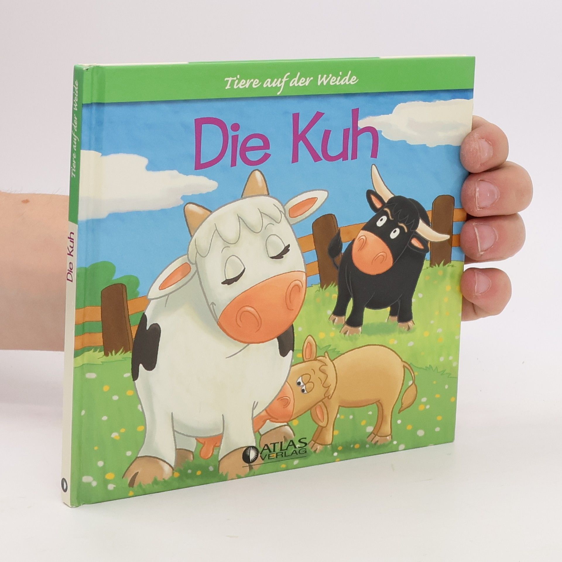 Autorenkollektiv Die Kuh