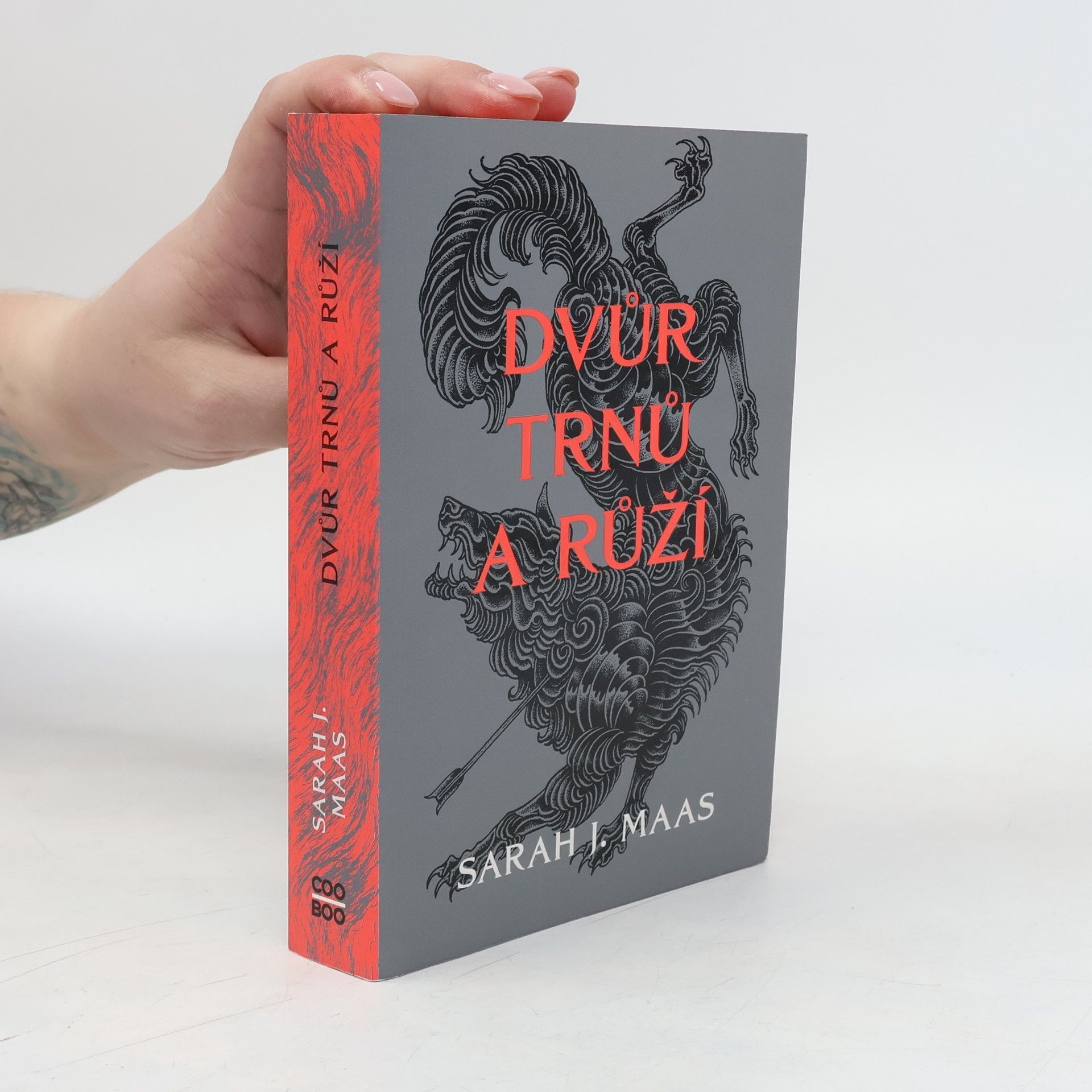 Sarah J. Maasová Dvůr trnů a růží