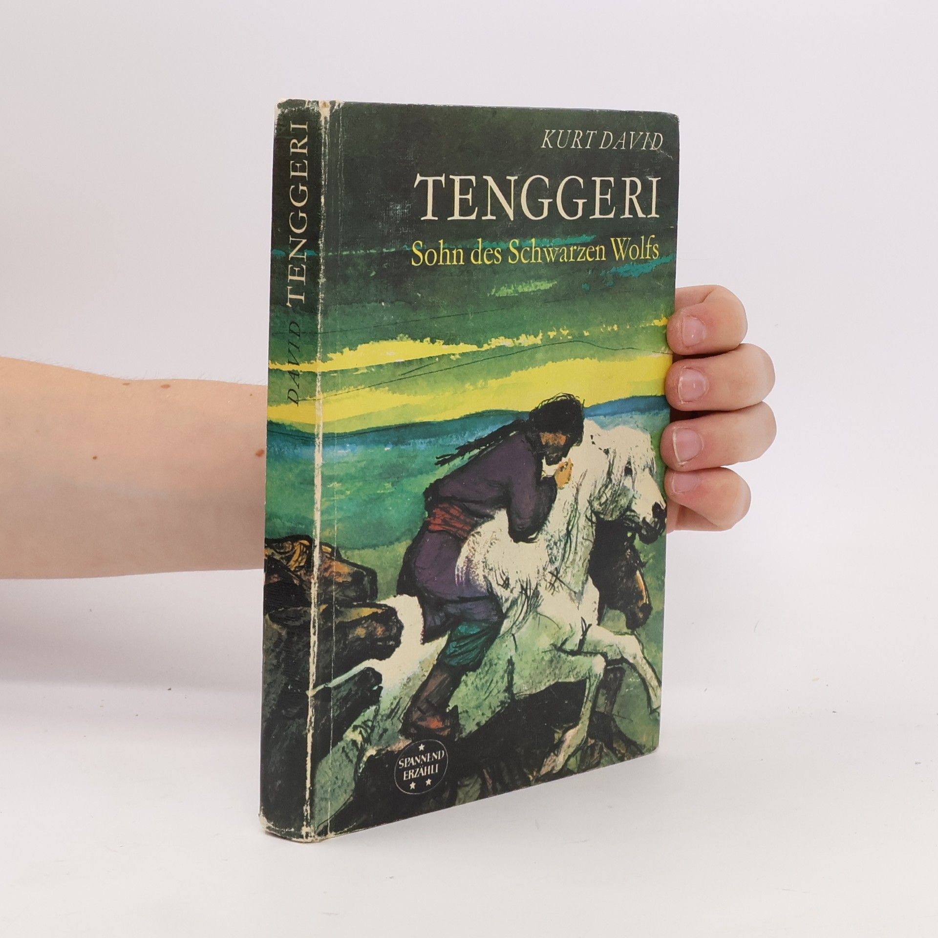 Kurt David Tenggeri. Sohn des Schwarzen Wolfs