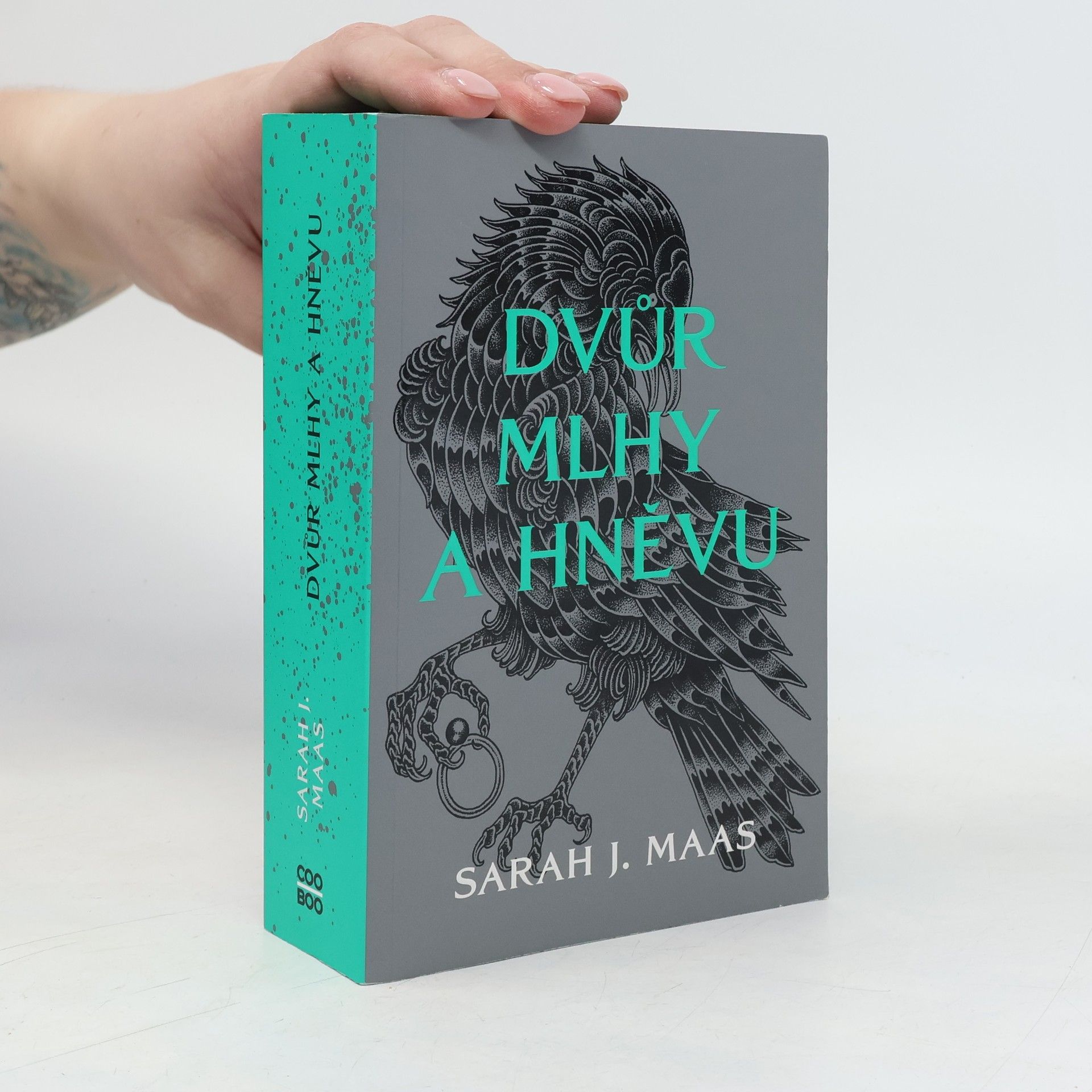 Sarah J. Maas Dvůr mlhy a hněvu